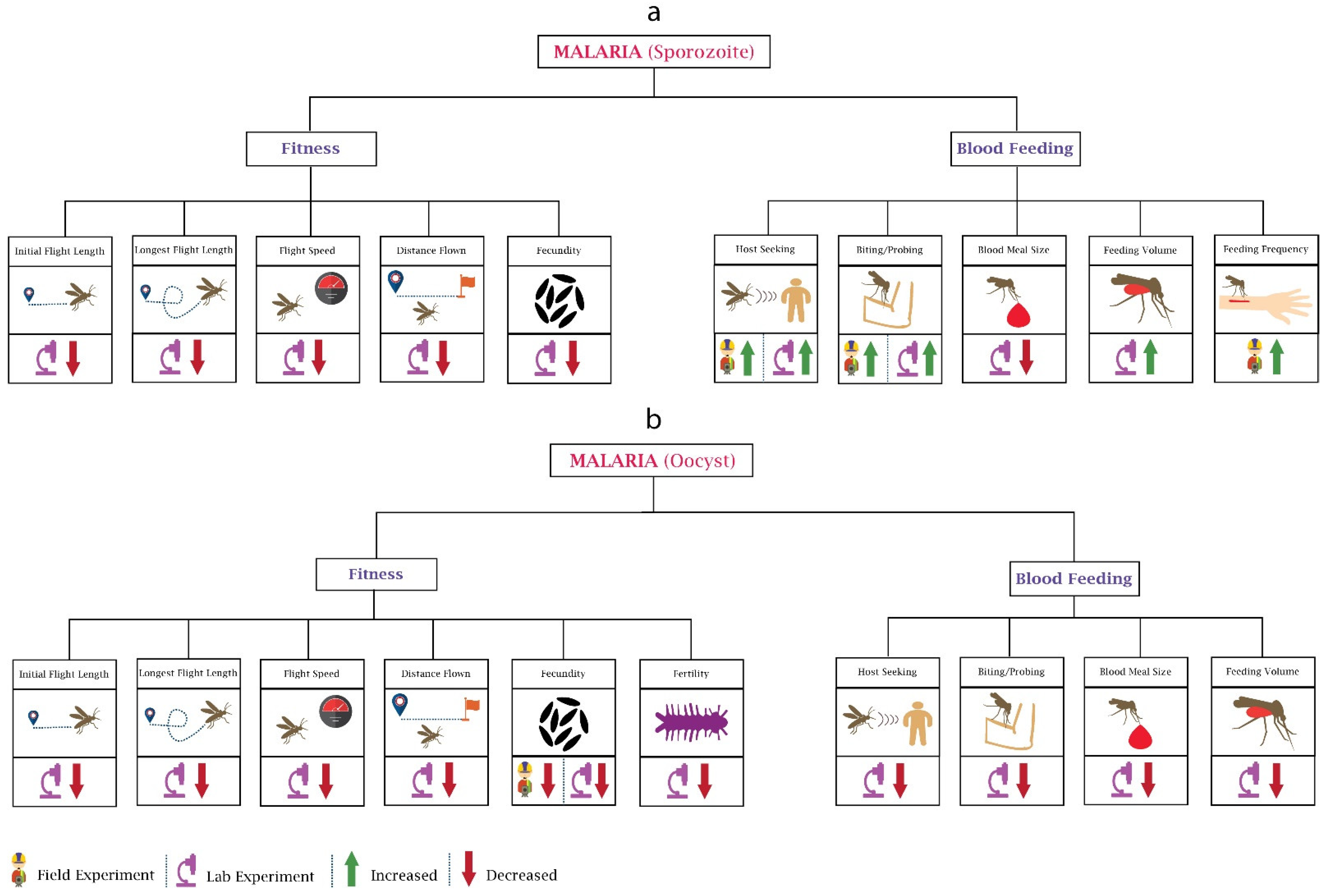 Pathogens 10 01376 g001 Pathogens 10 01376 g001
