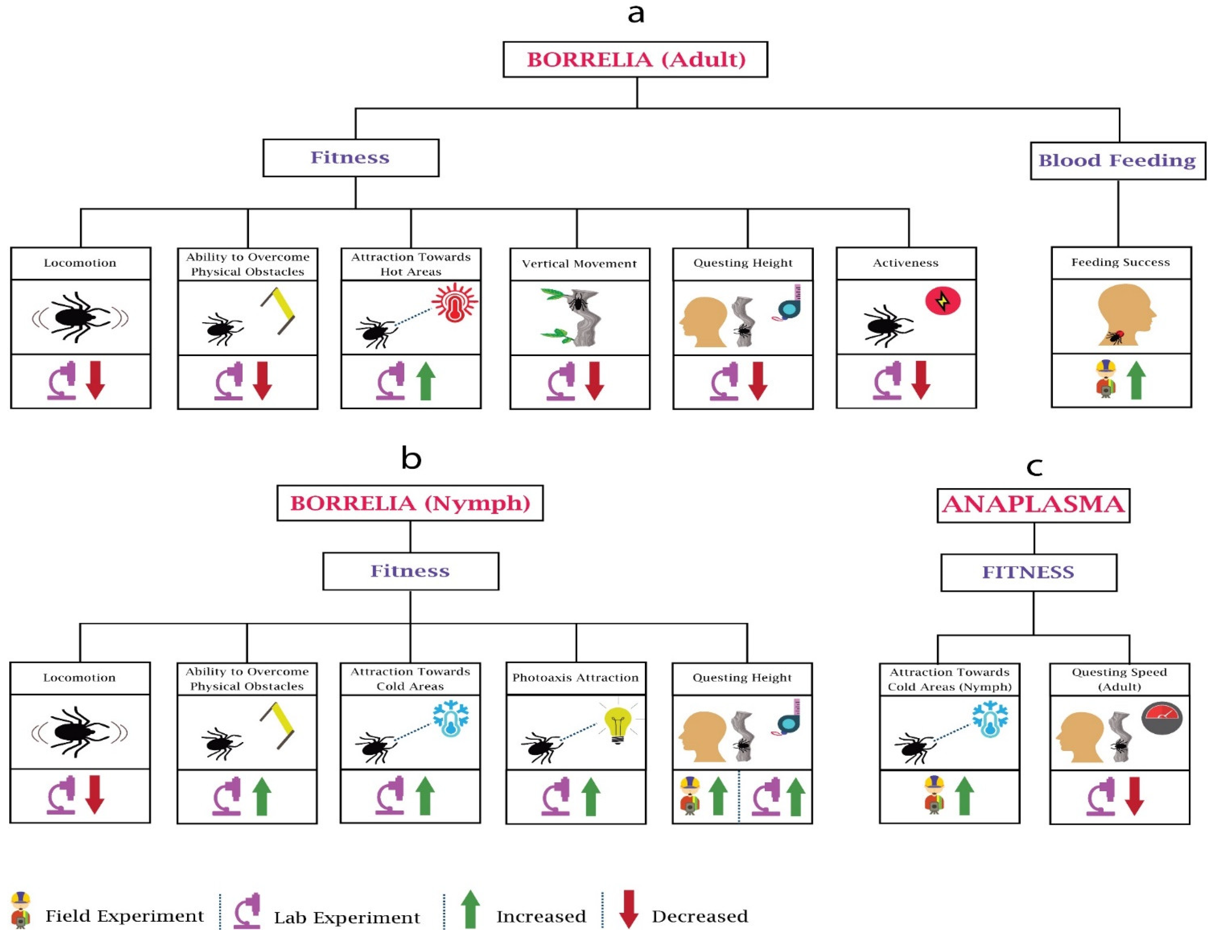 Pathogens 10 01376 g003 Pathogens 10 01376 g003