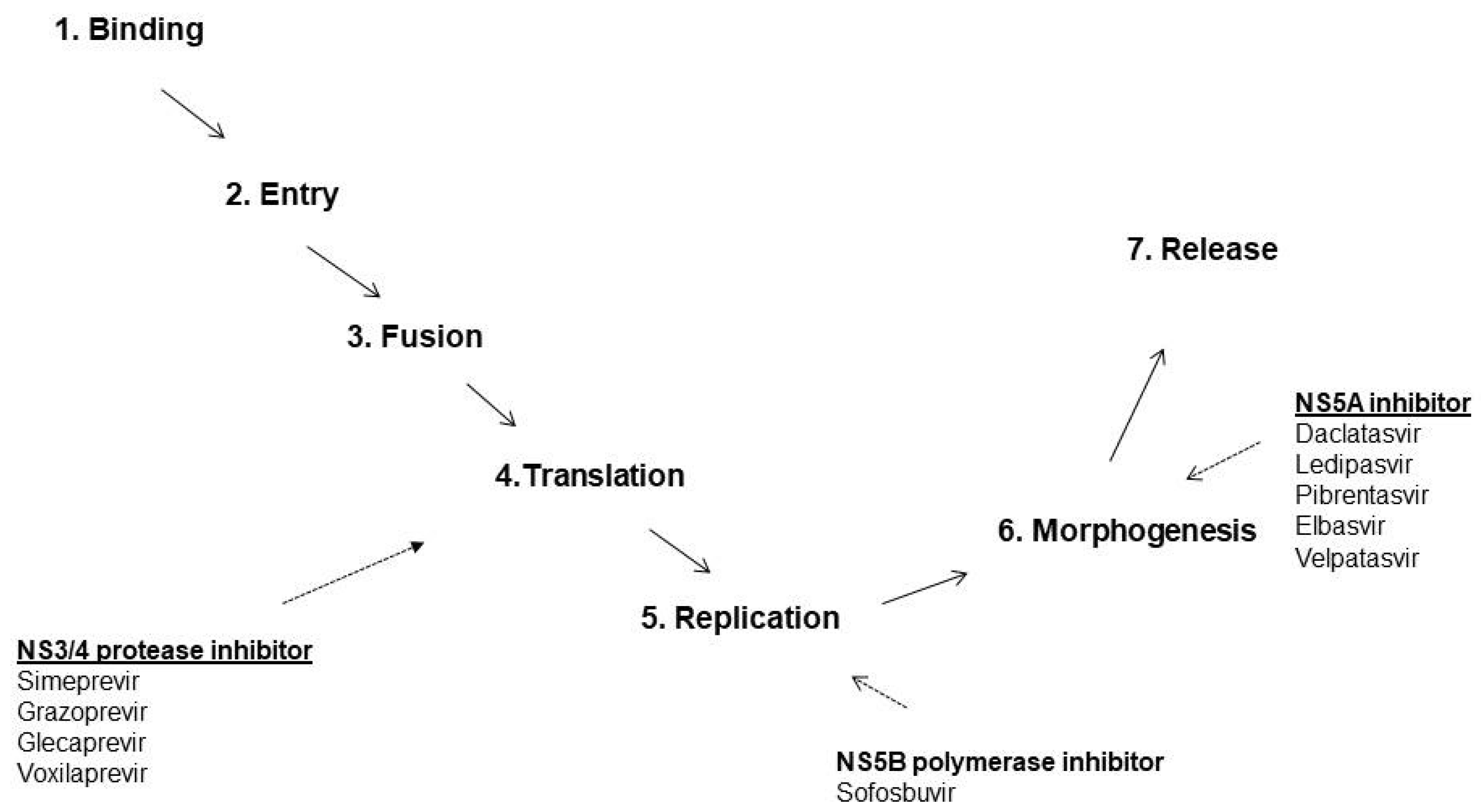 Pathogens 10 01381 g001