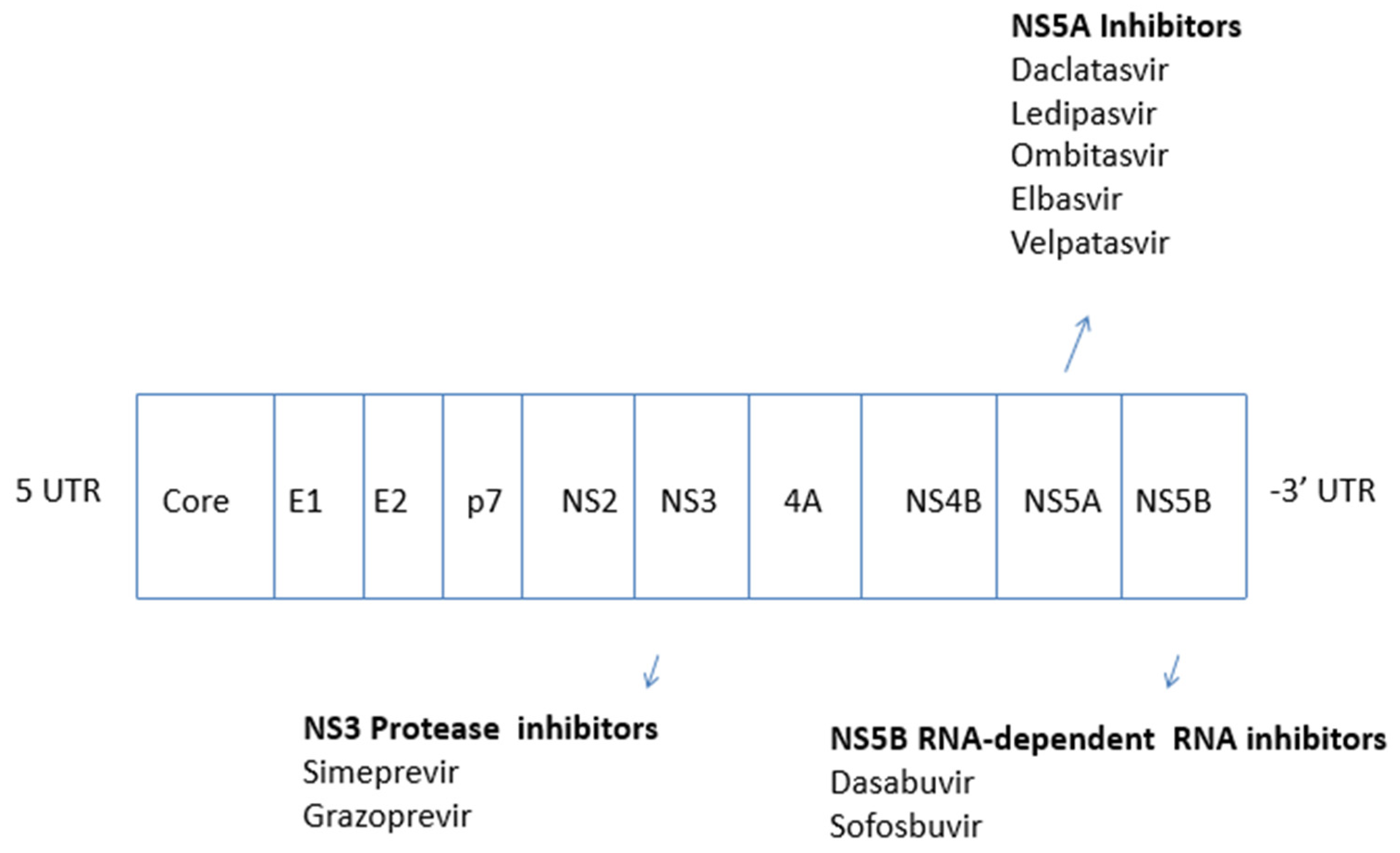 Pathogens 10 01381 g002