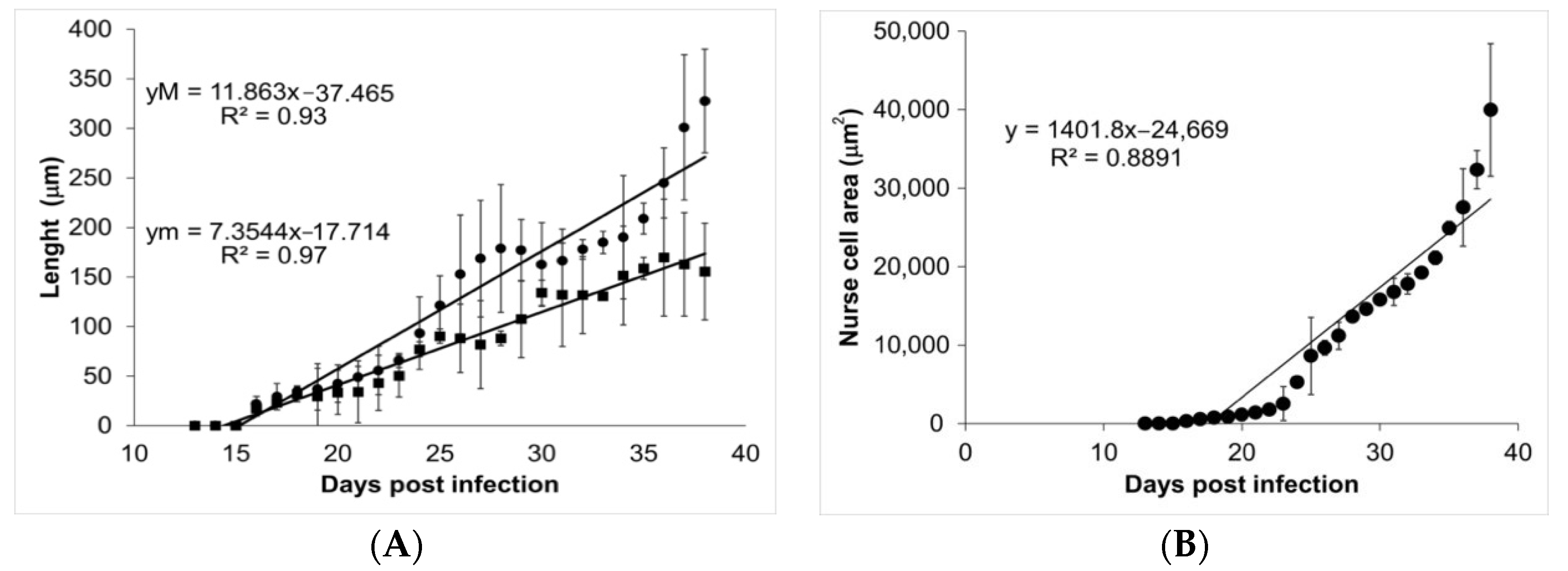 Pathogens 10 01382 g004 Pathogens 10 01382 g004