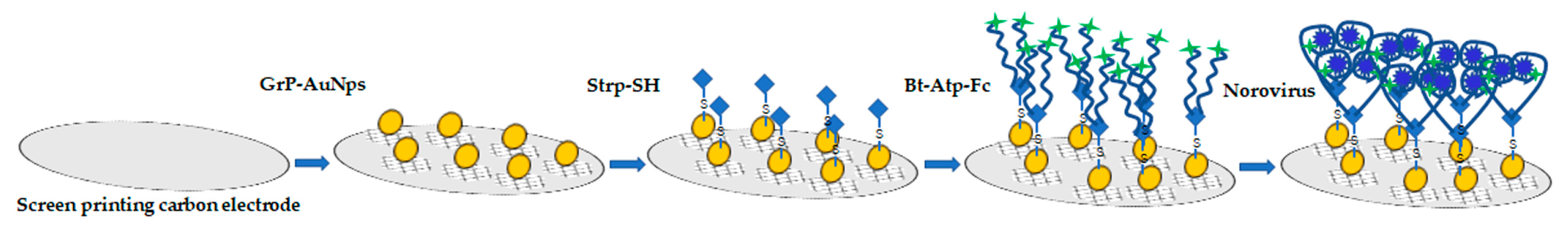 Pathogens 10 01383 g004