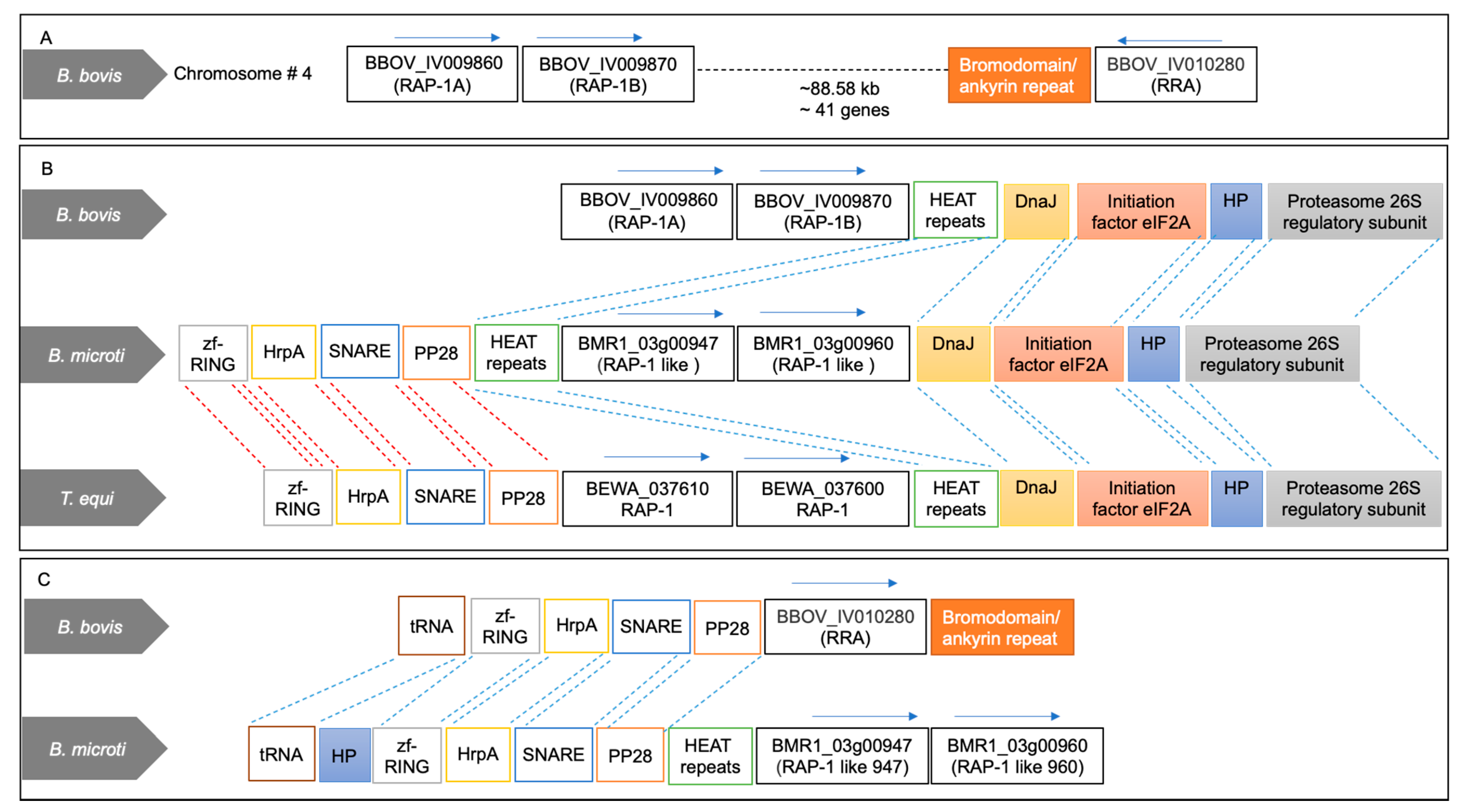 Pathogens 10 01384 g002