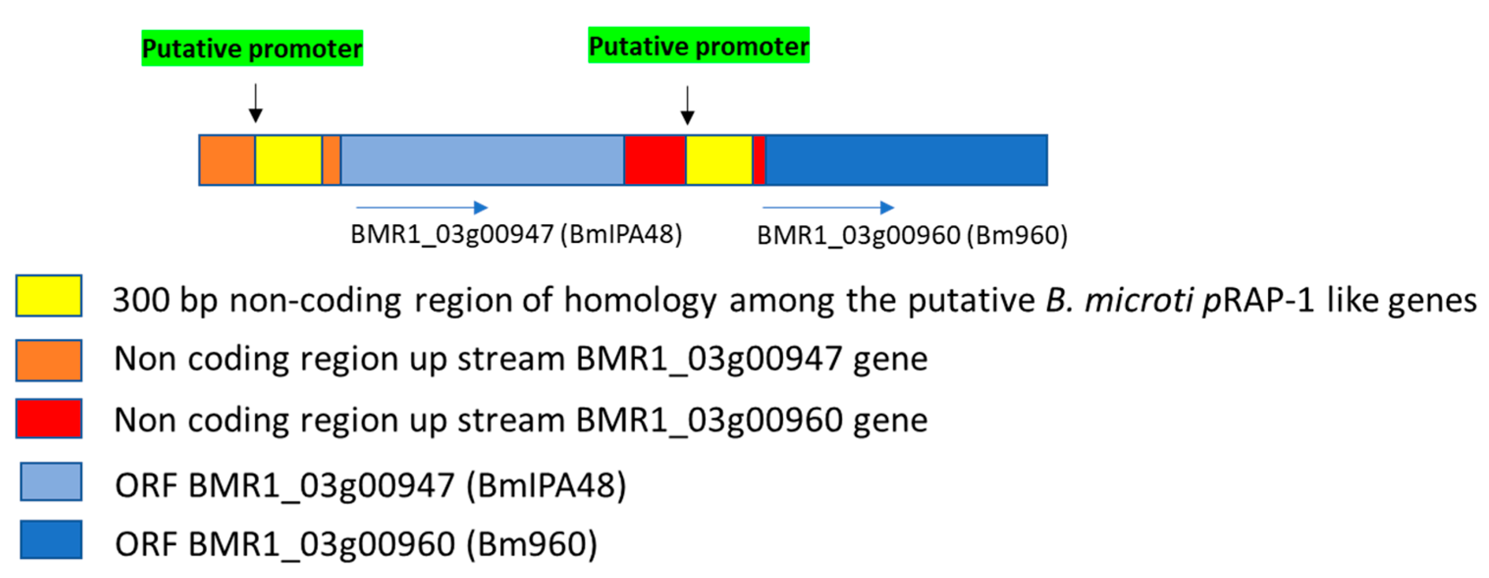 Pathogens 10 01384 g003