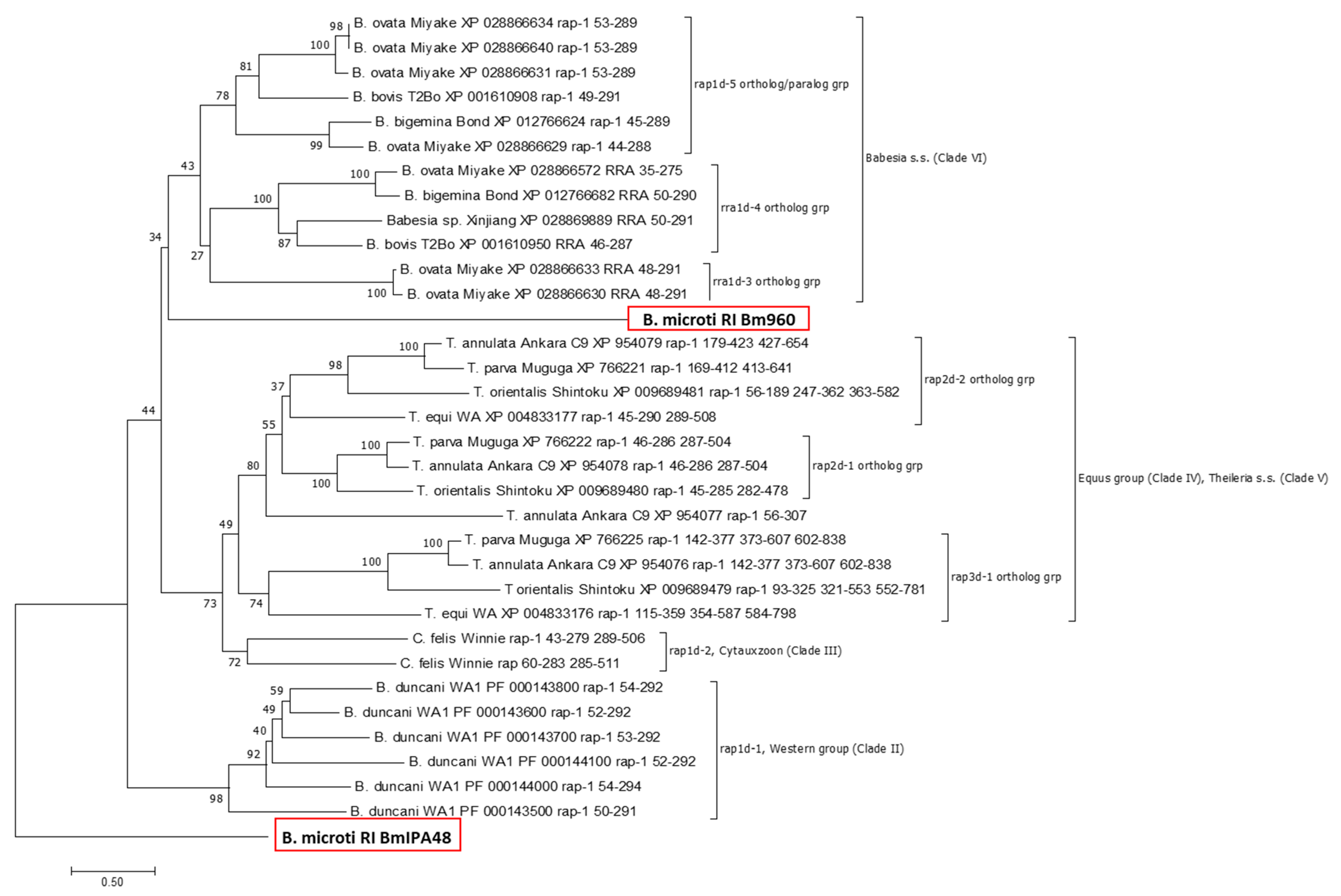 Pathogens 10 01384 g005