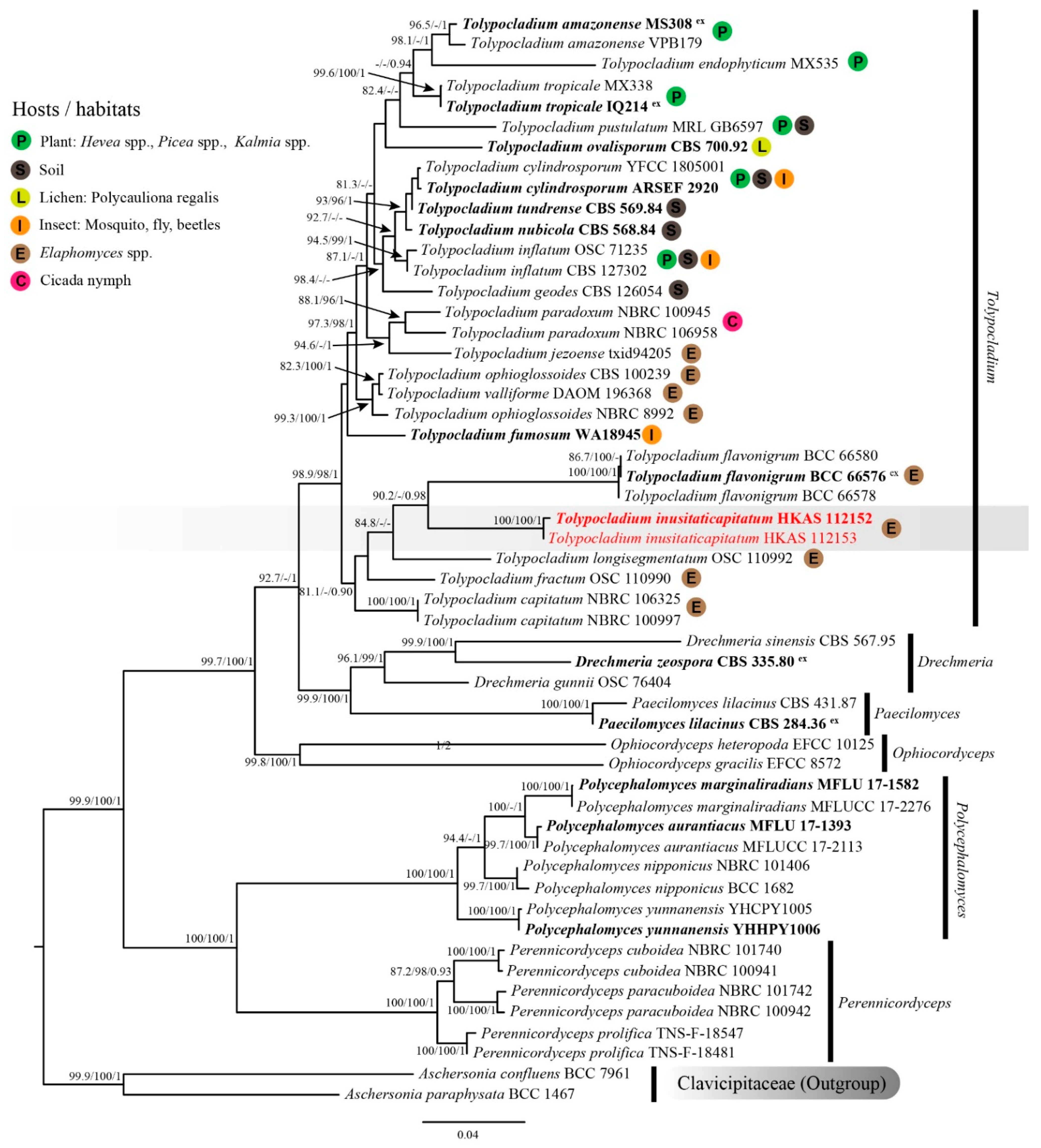 Pathogens 10 01389 g001 Pathogens 10 01389 g001