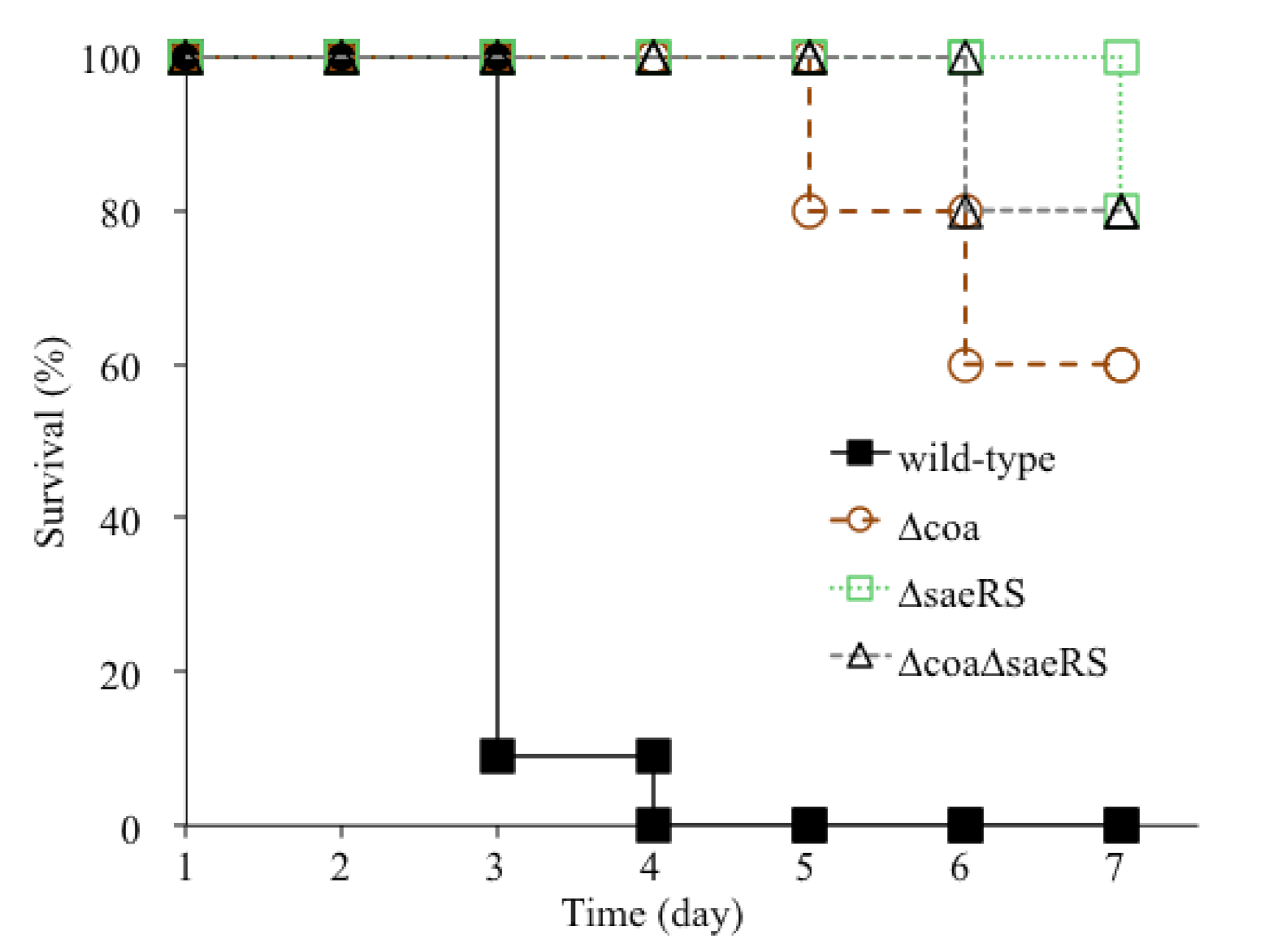 Pathogens 10 01396 g001