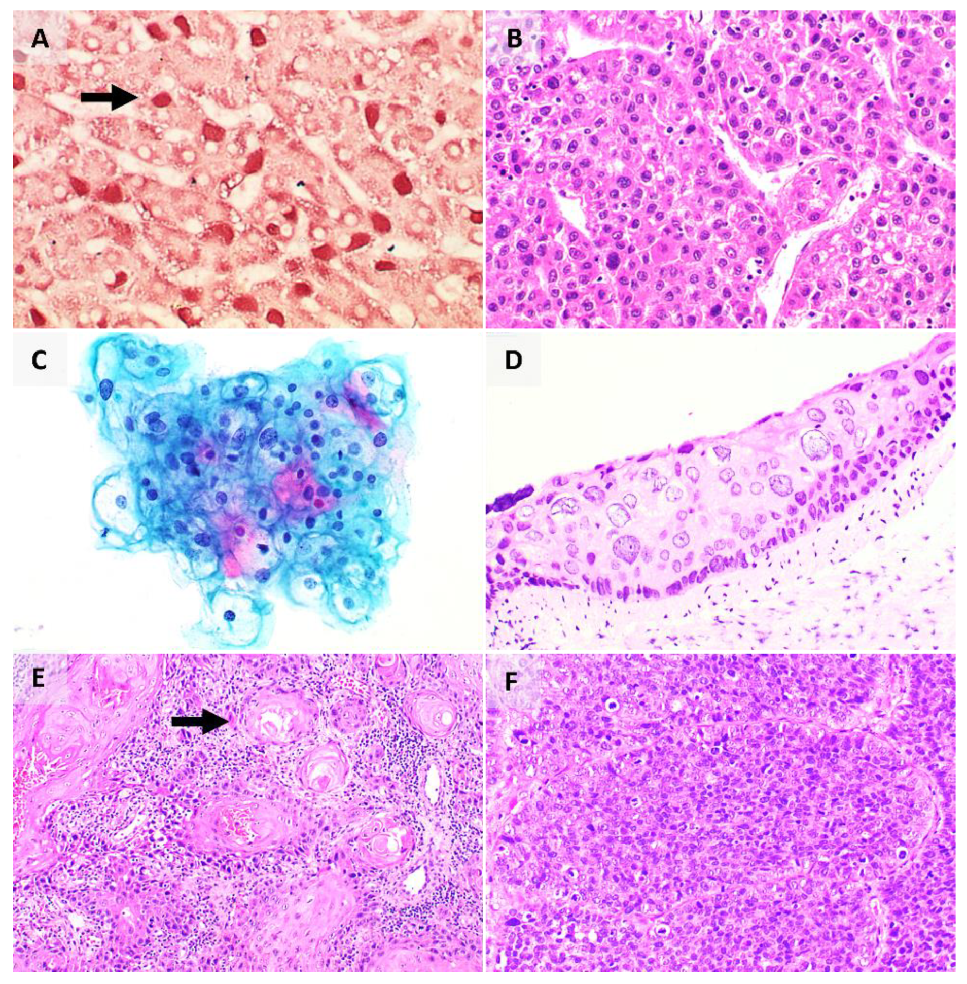 Pathogens 10 01410 g003 Pathogens 10 01410 g003
