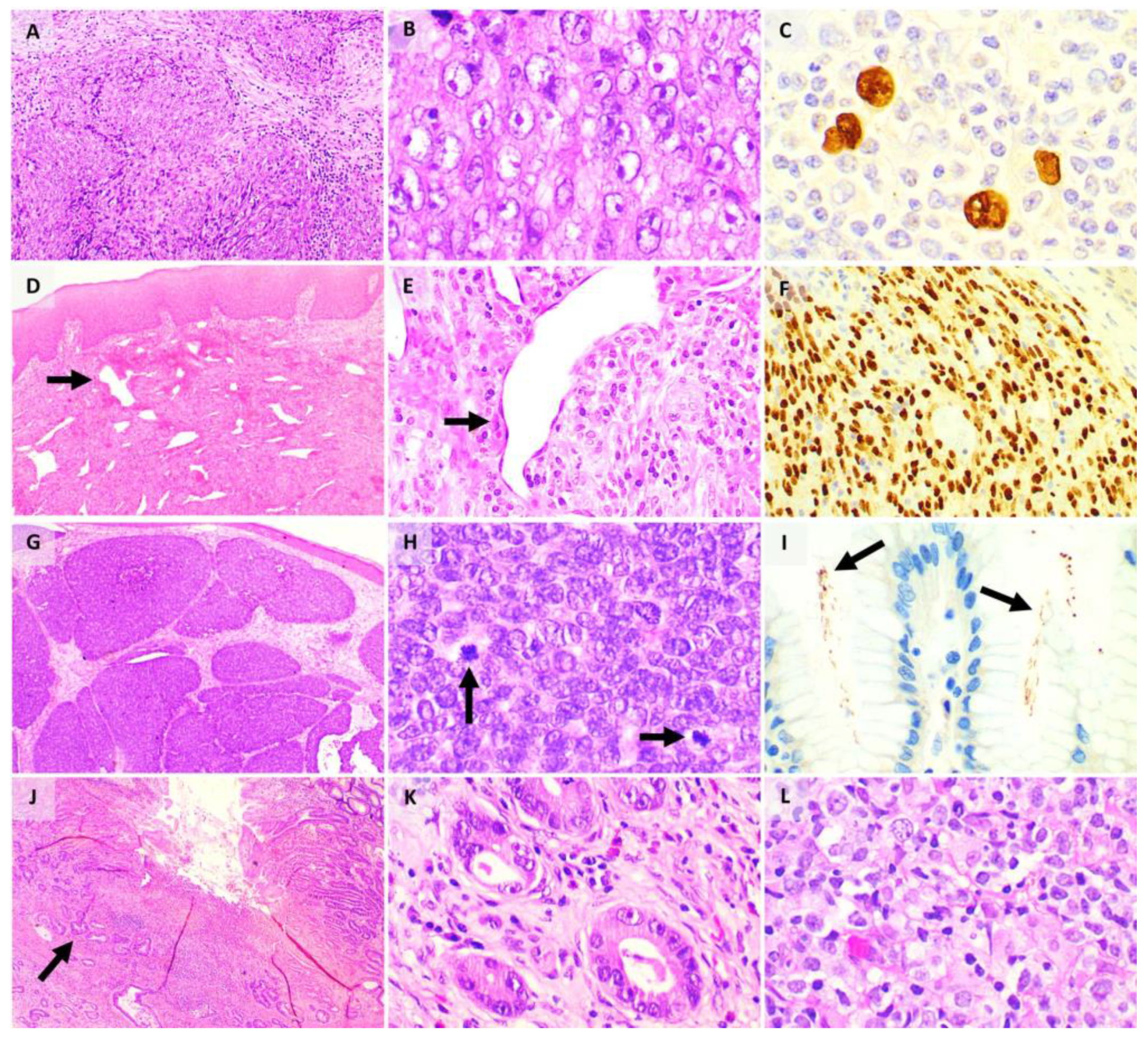 Pathogens 10 01410 g004 Pathogens 10 01410 g004