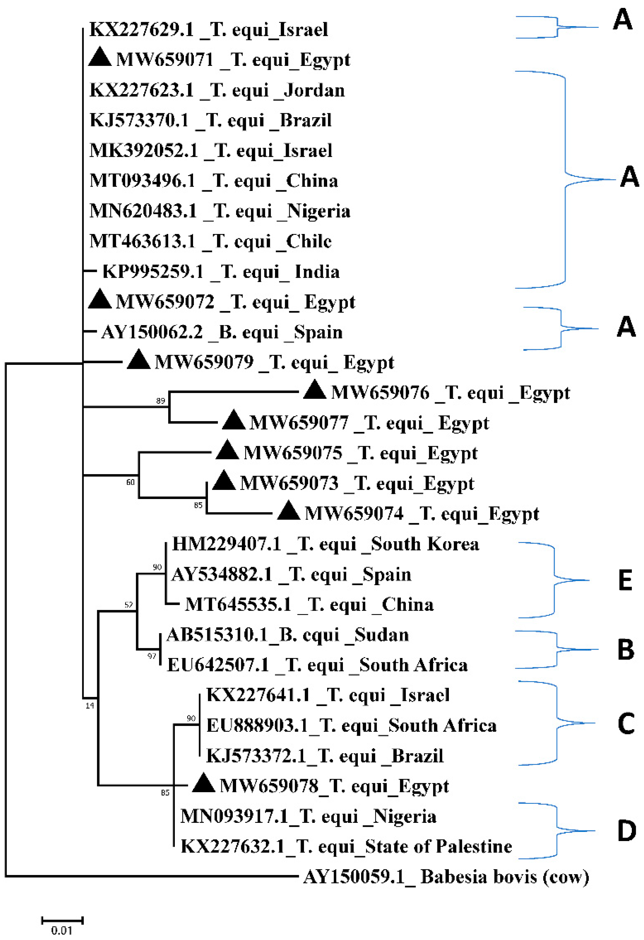 Pathogens 10 01414 g003