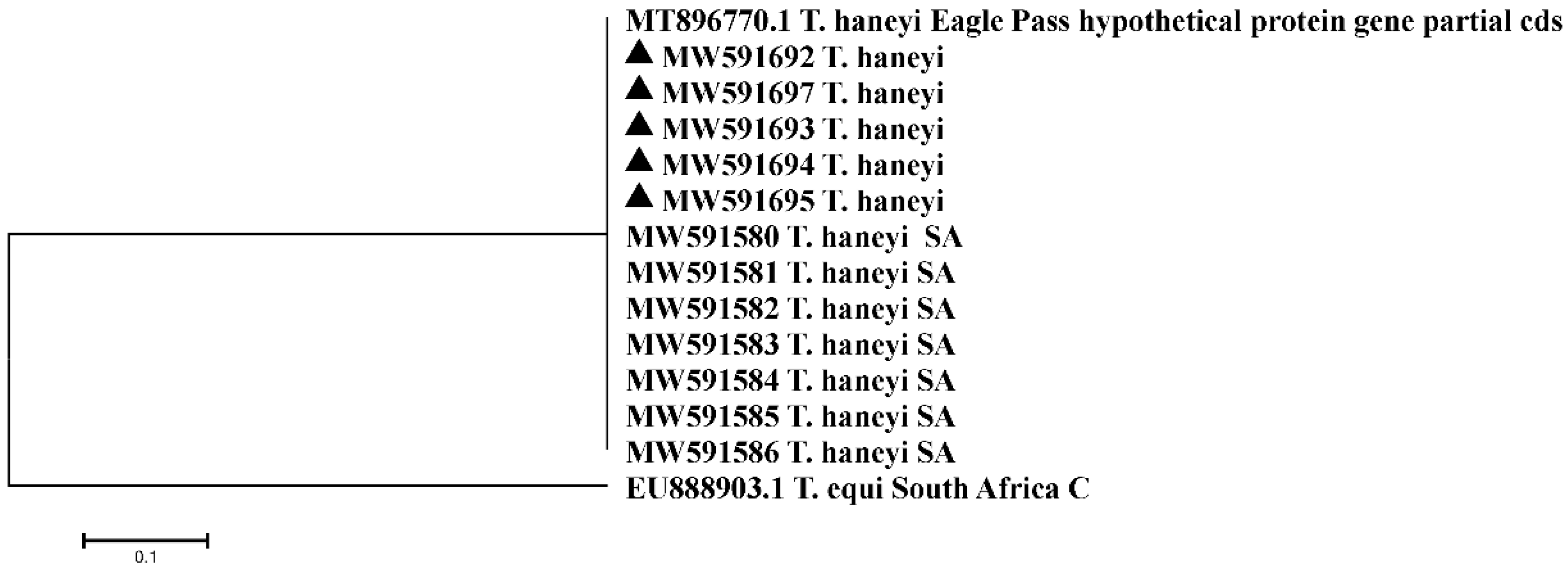 Pathogens 10 01414 g005