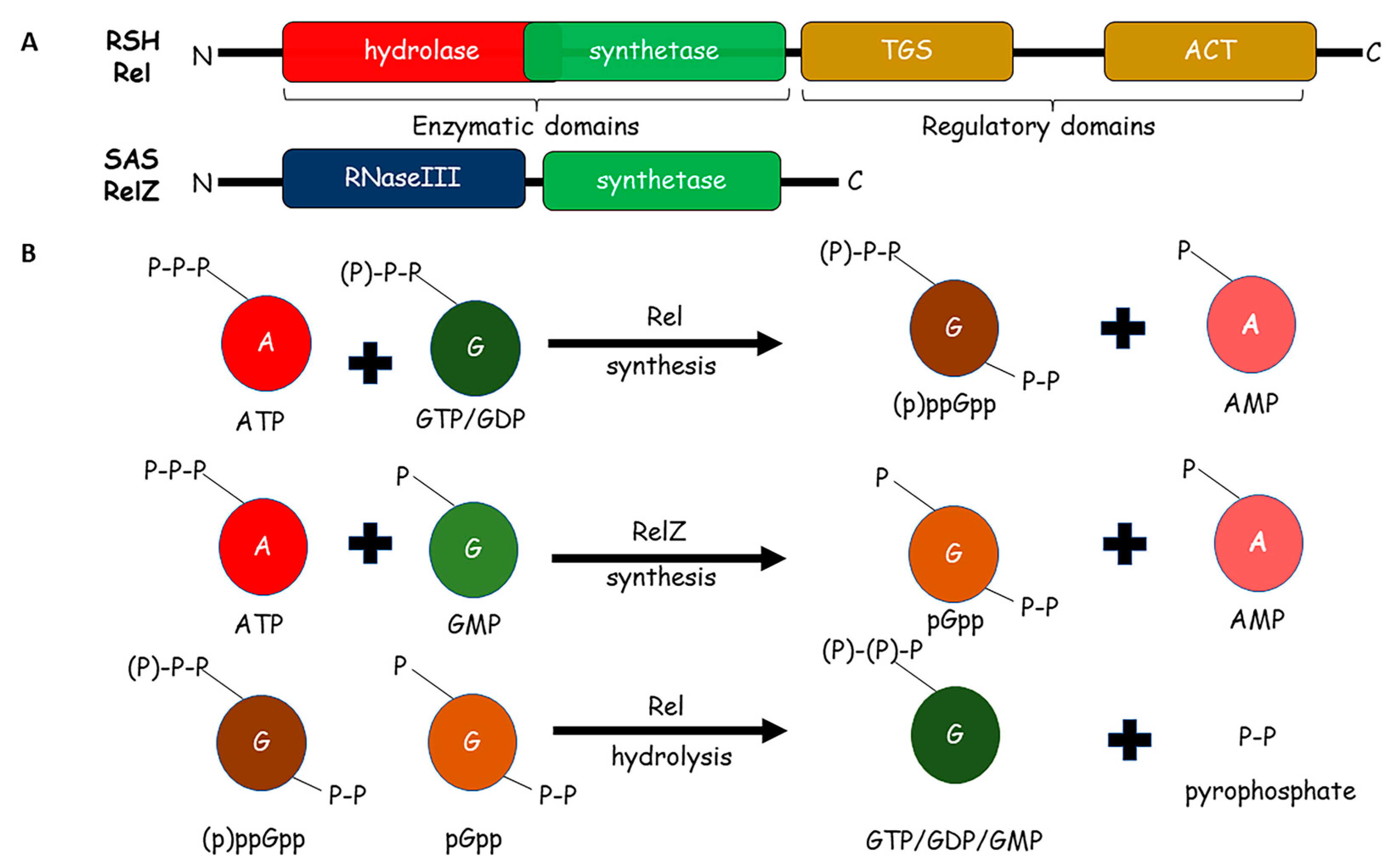 Pathogens 10 01417 g001