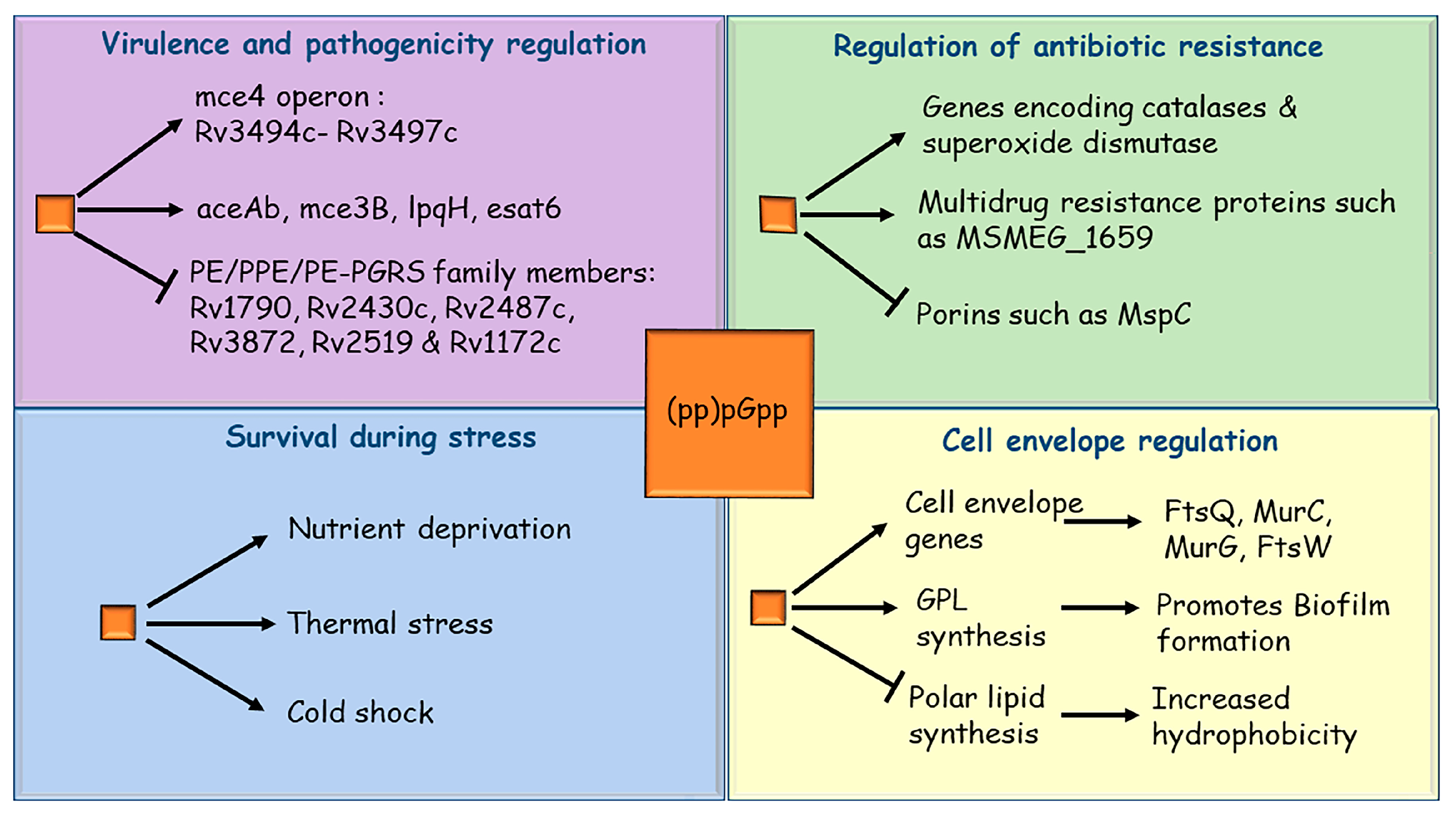 Pathogens 10 01417 g002