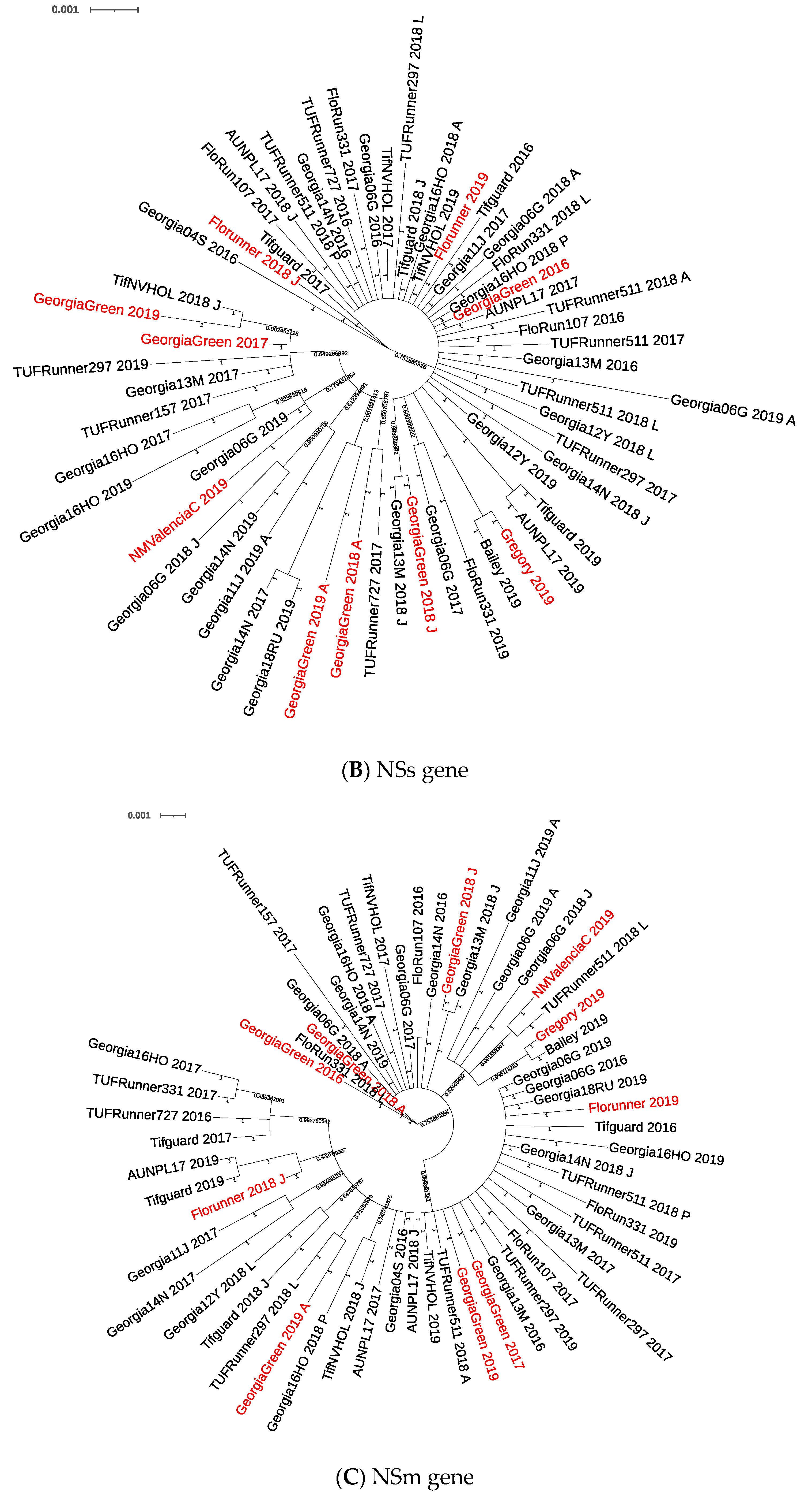 Pathogens 10 01418 g001b Pathogens 10 01418 g001b