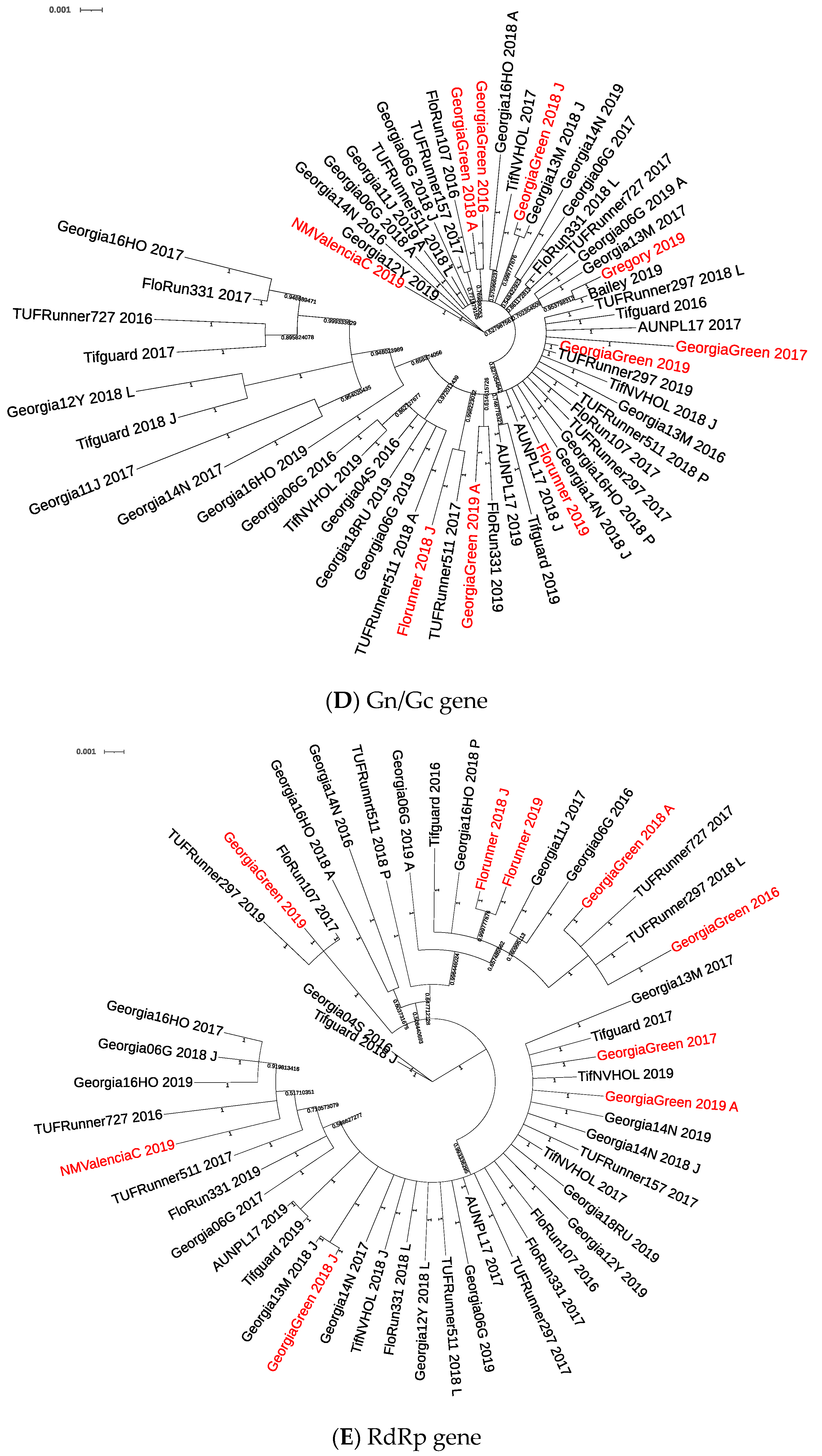 Pathogens 10 01418 g001c Pathogens 10 01418 g001c