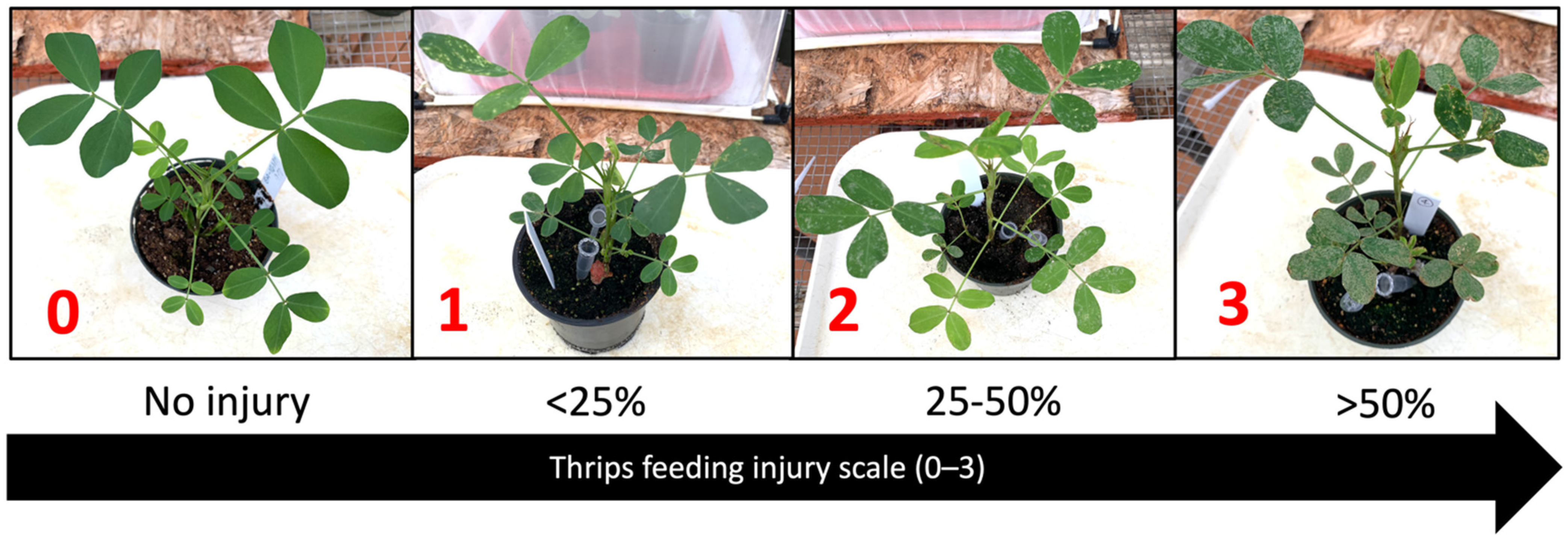 Pathogens 10 01418 g006 Pathogens 10 01418 g006
