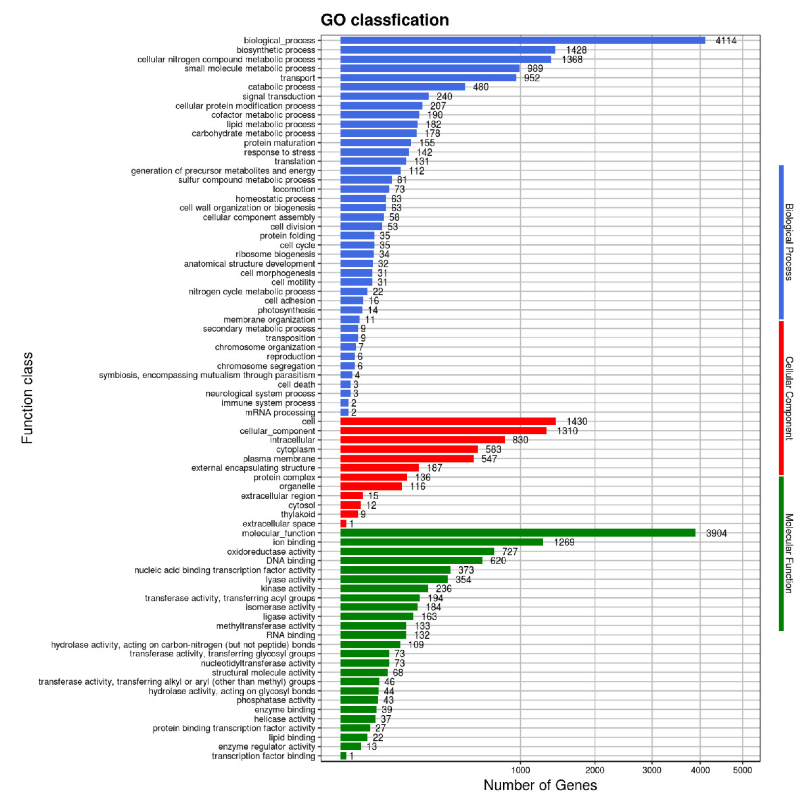 Pathogens 10 01423 g008