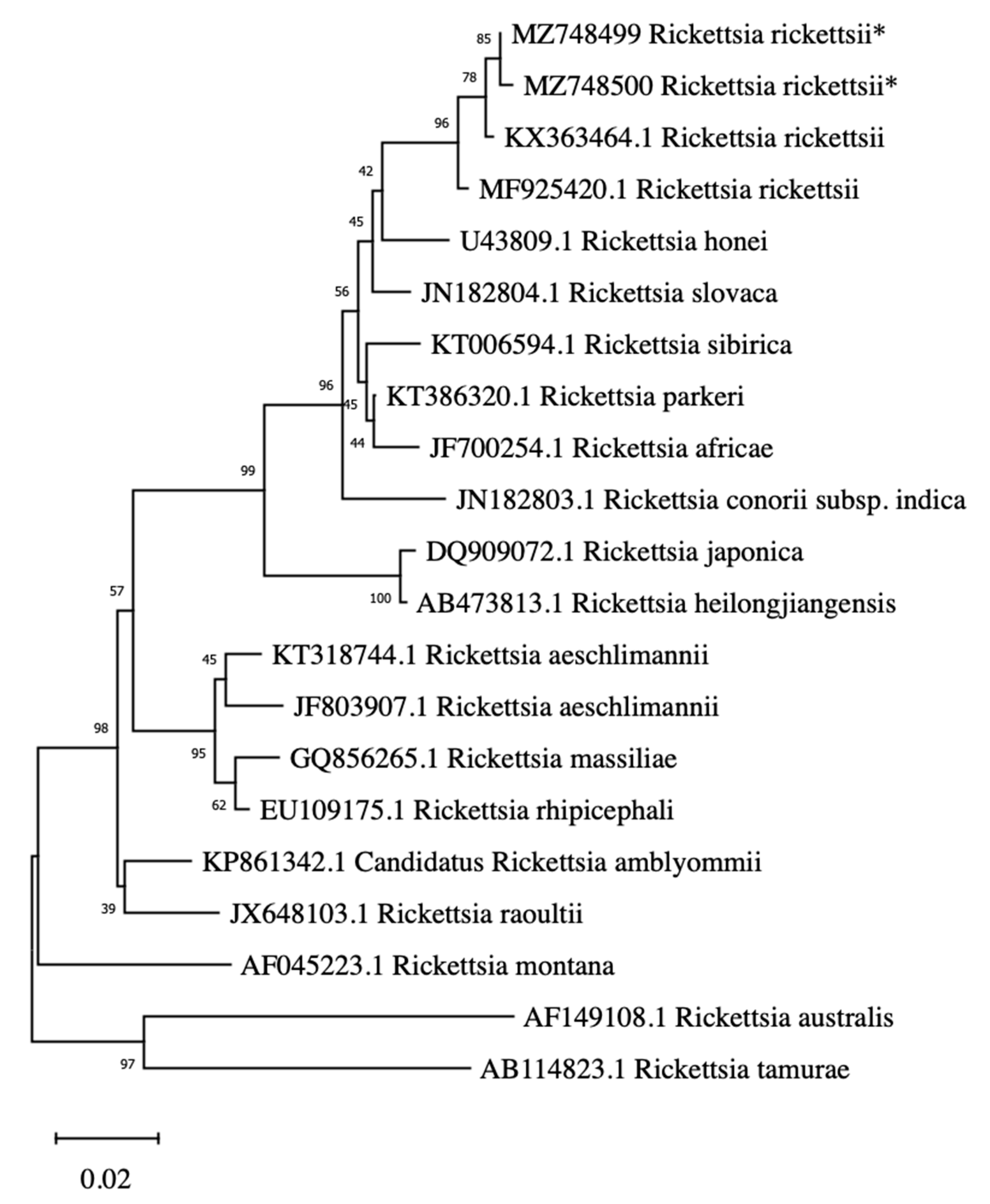 Pathogens 10 01428 g001
