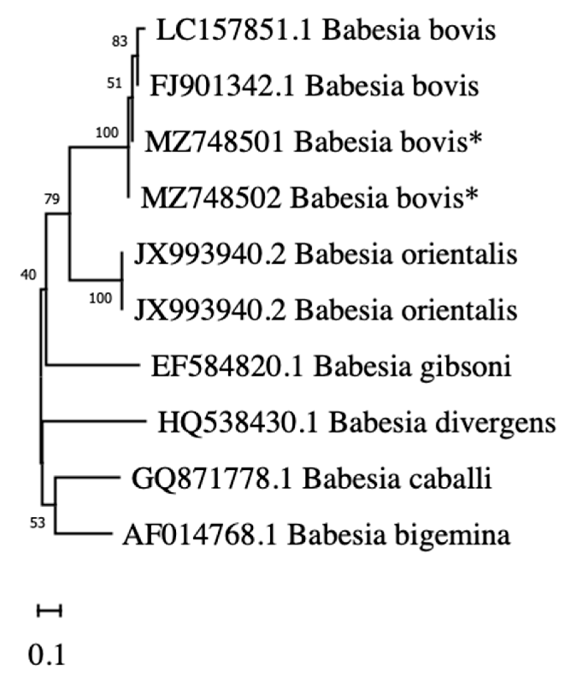 Pathogens 10 01428 g002