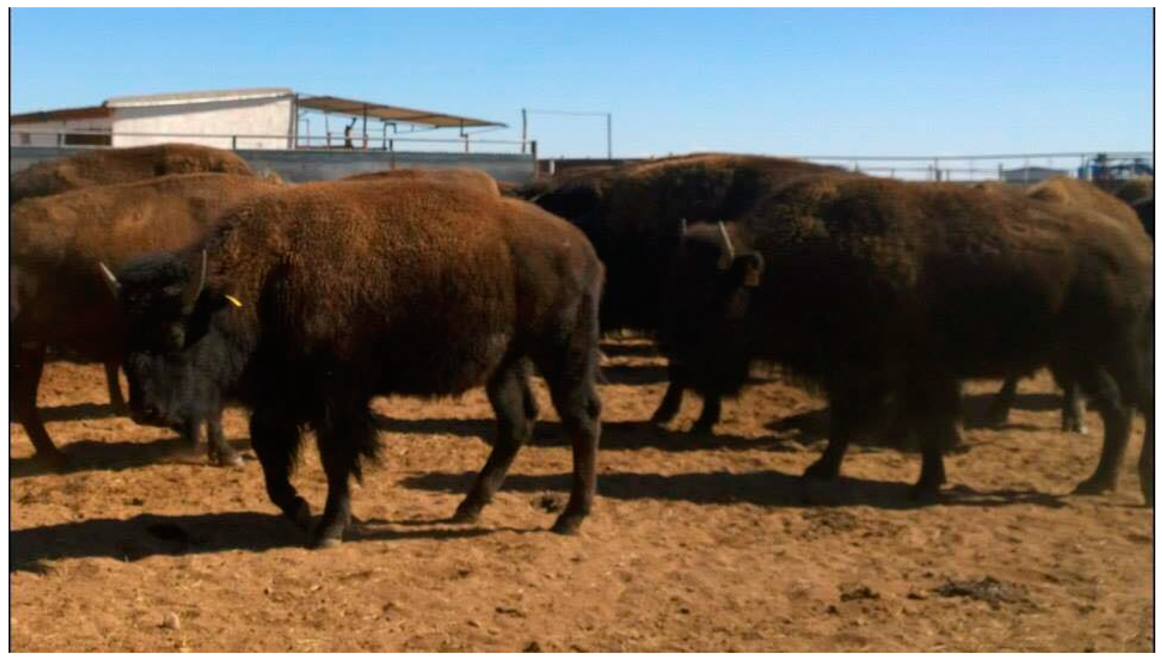 Pathogens 10 01428 g004