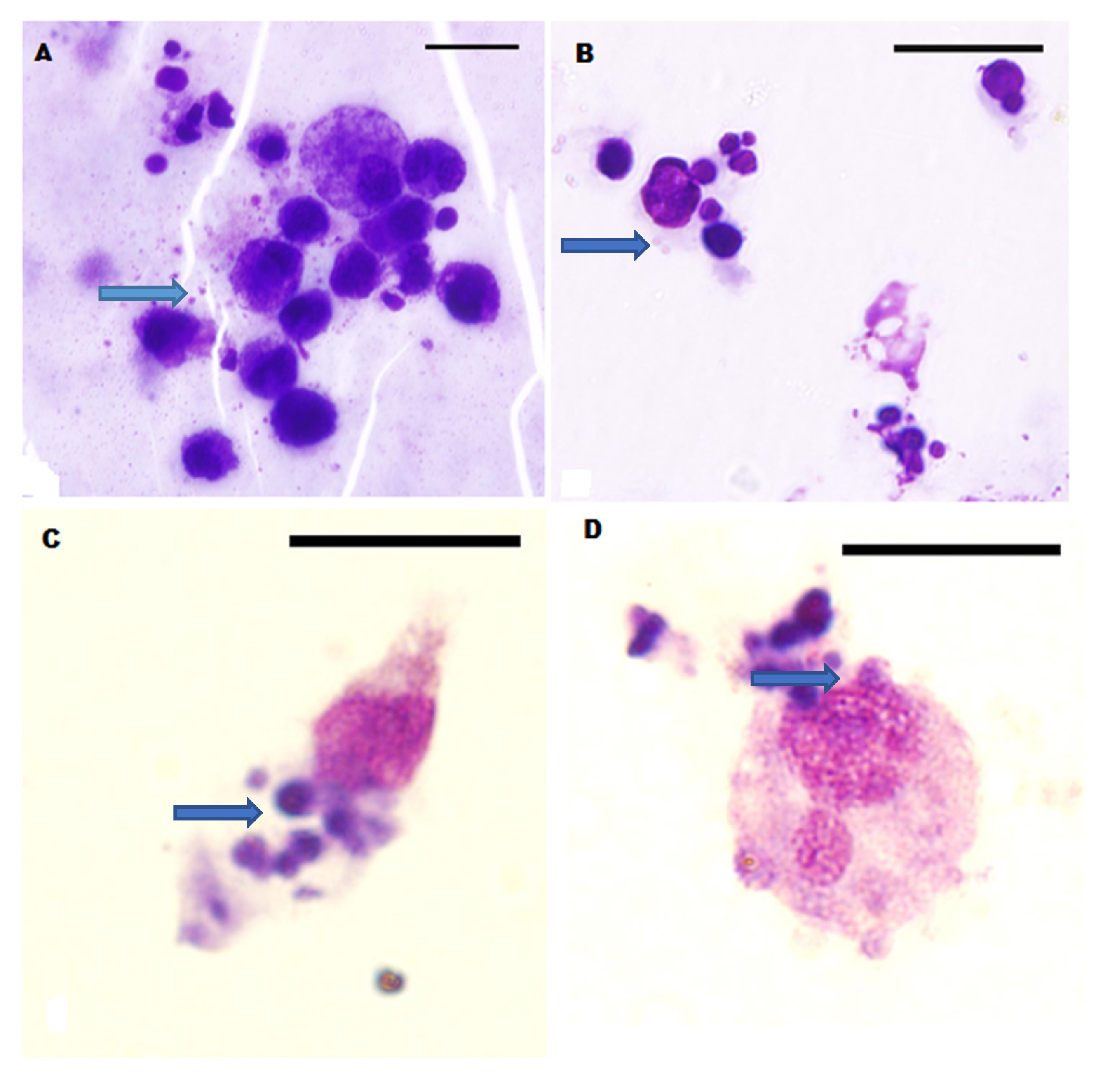 Pathogens 10 01431 g001
