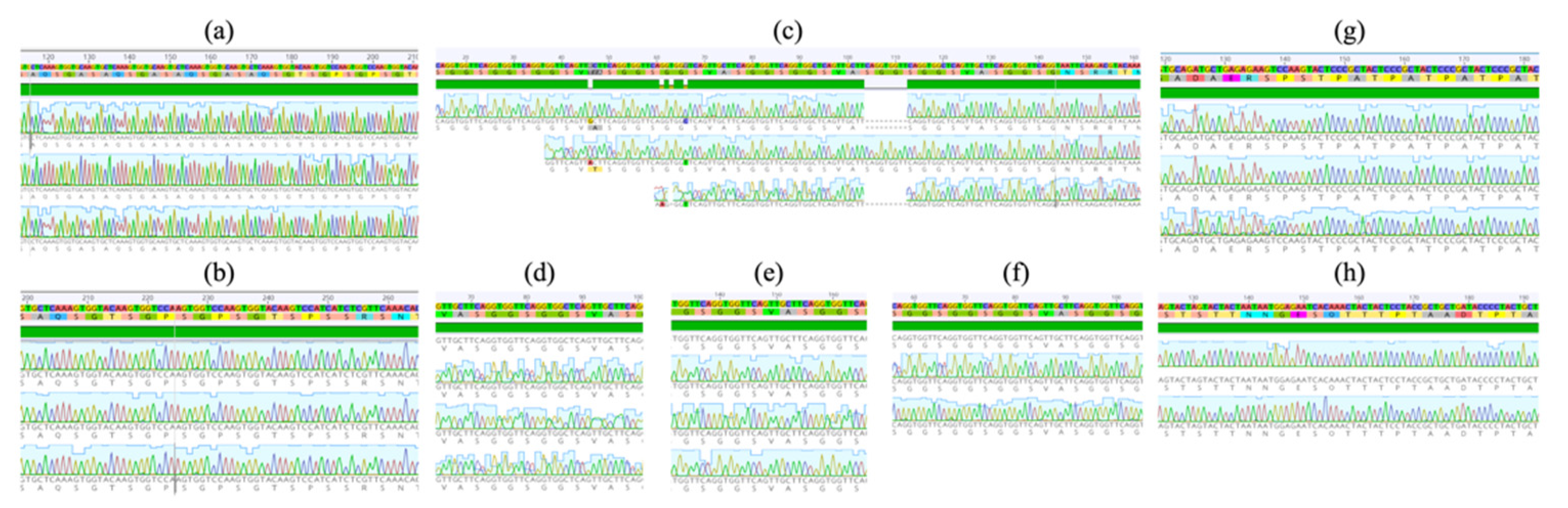 Pathogens 10 01432 g005 550