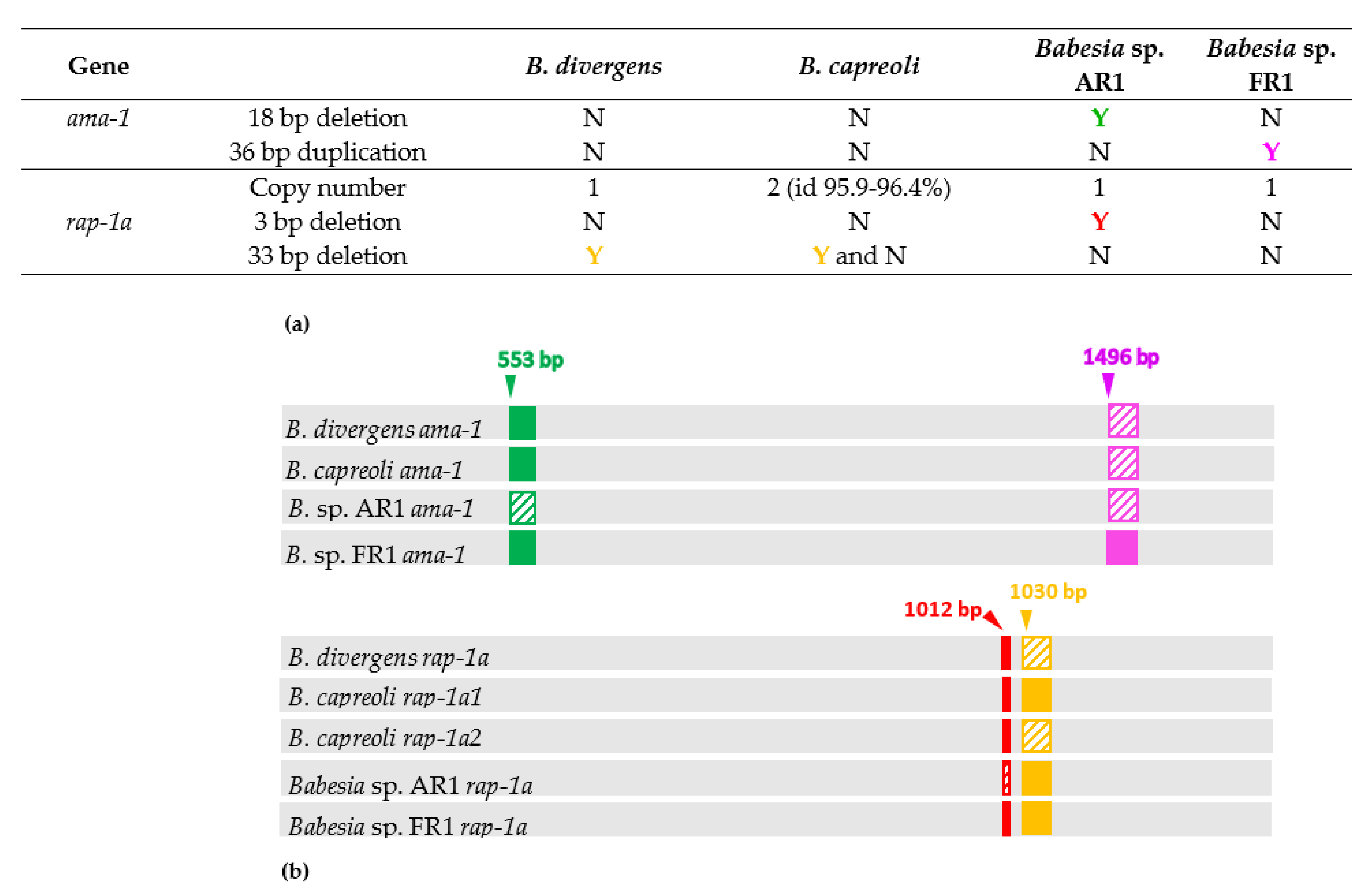 Pathogens 10 01433 g002