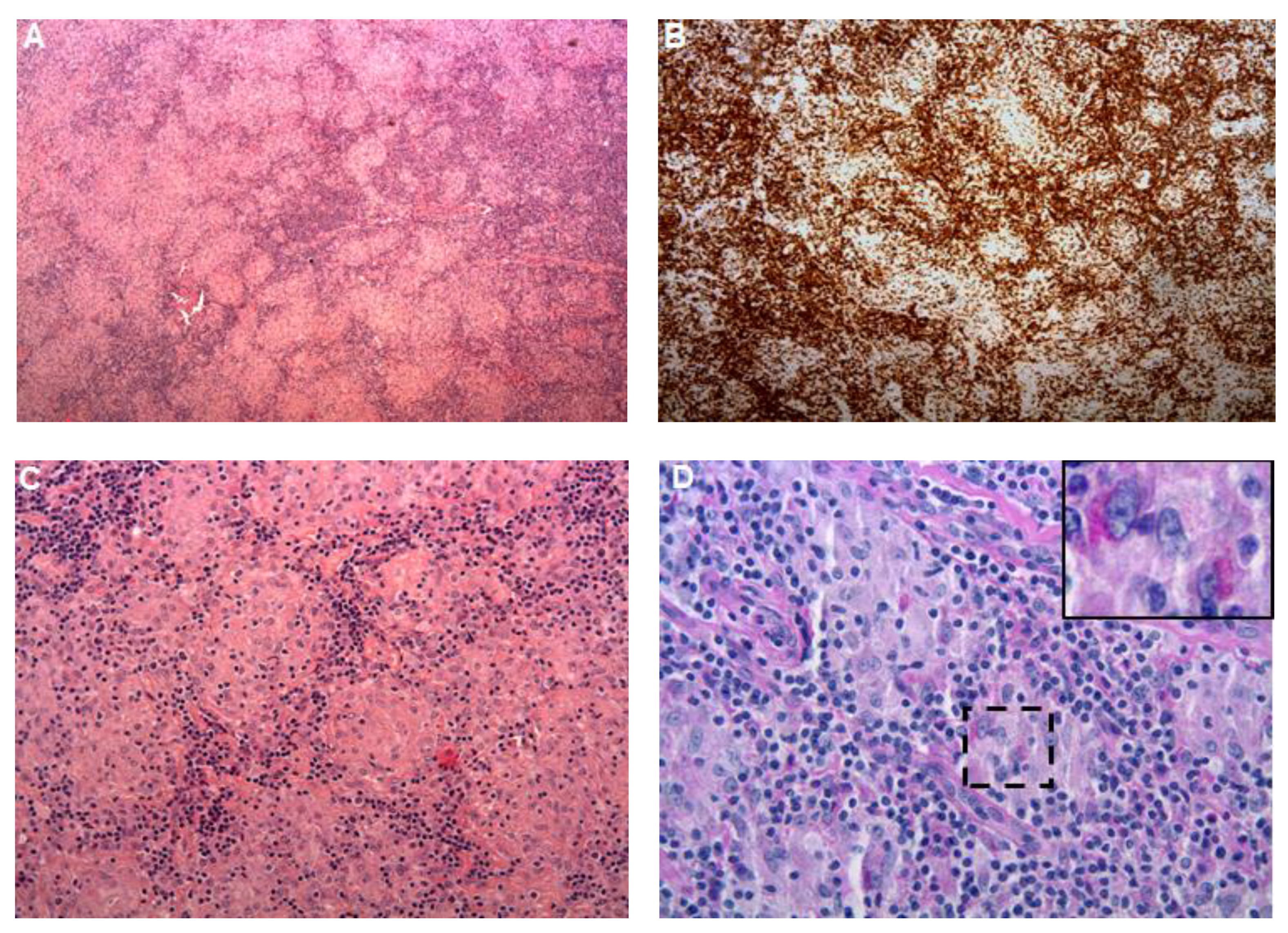 Pathogens 10 01438 g002 Pathogens 10 01438 g002