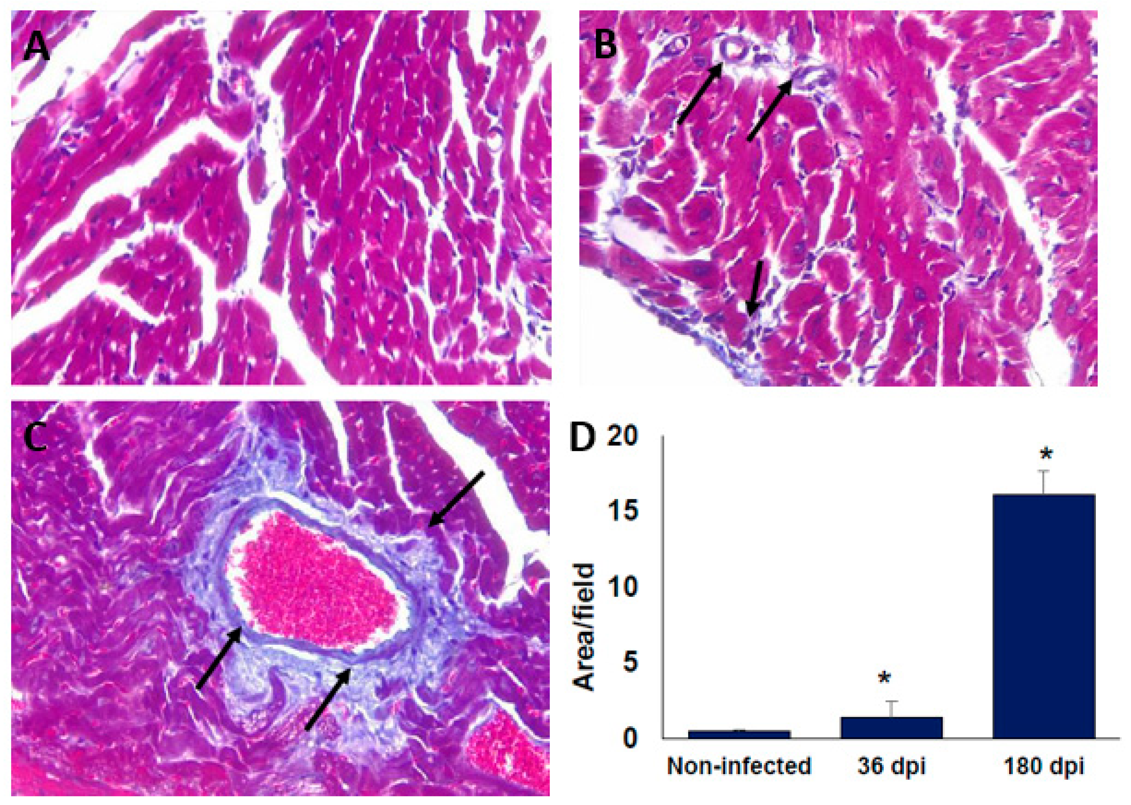 Pathogens 10 01444 g003 Pathogens 10 01444 g003