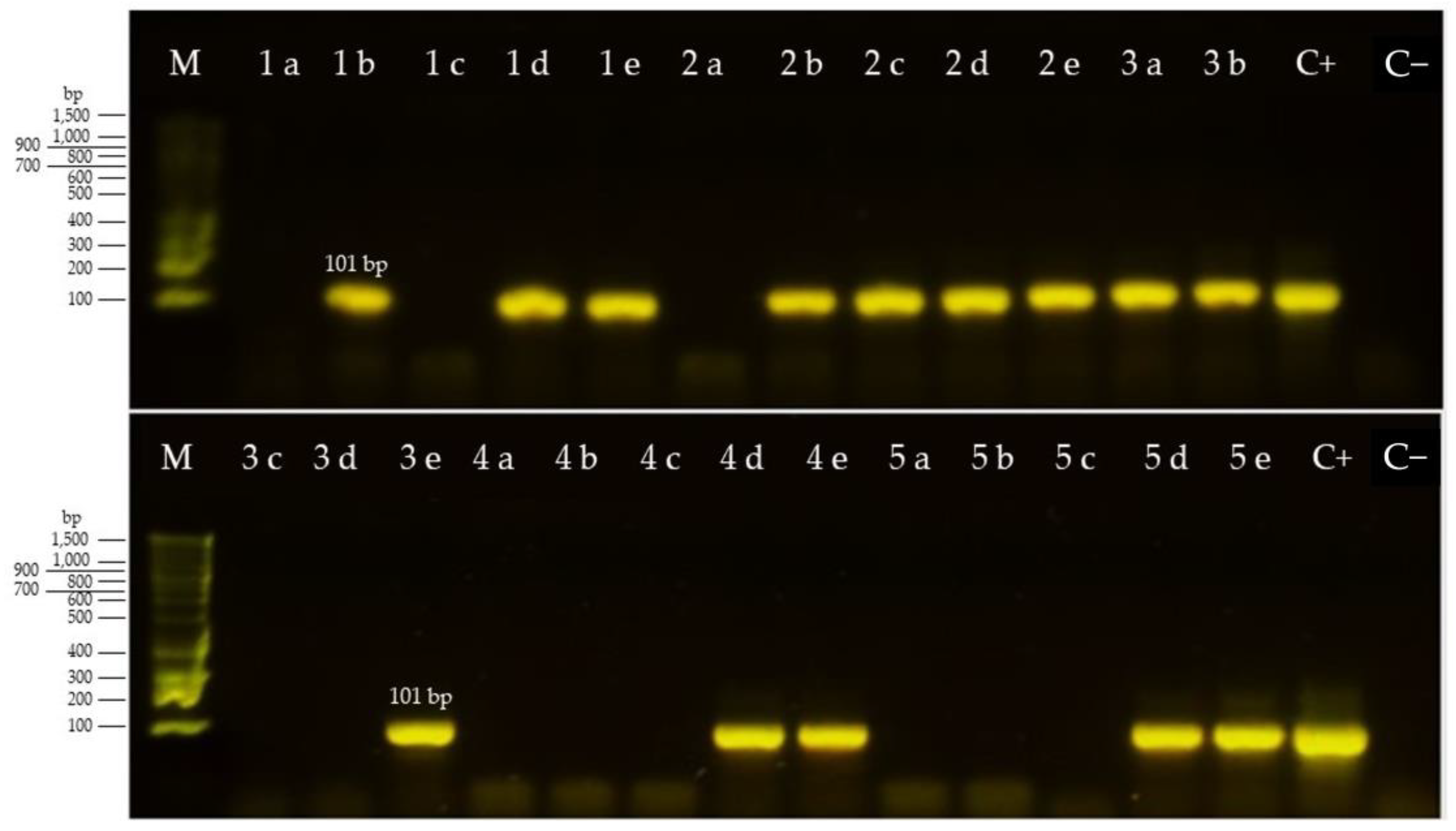 Pathogens 10 01445 g001
