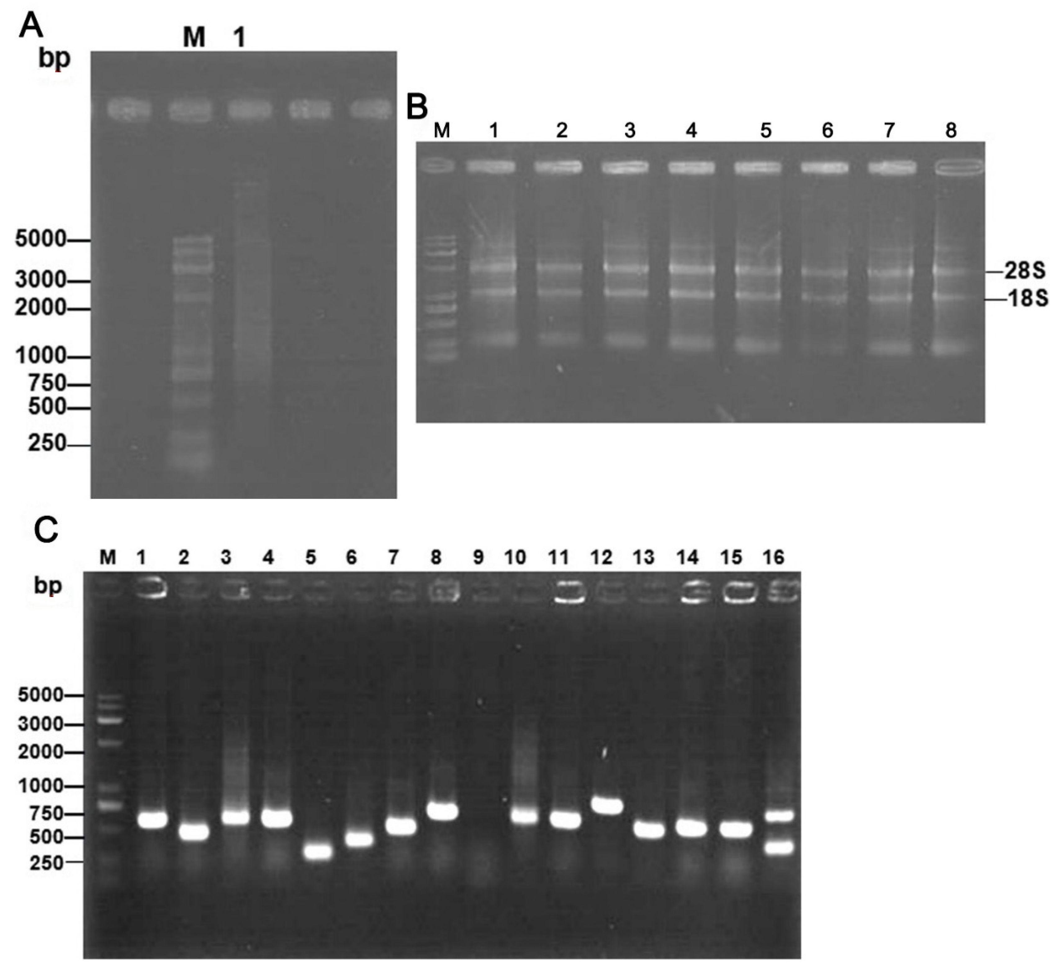 Pathogens 10 01449 g001