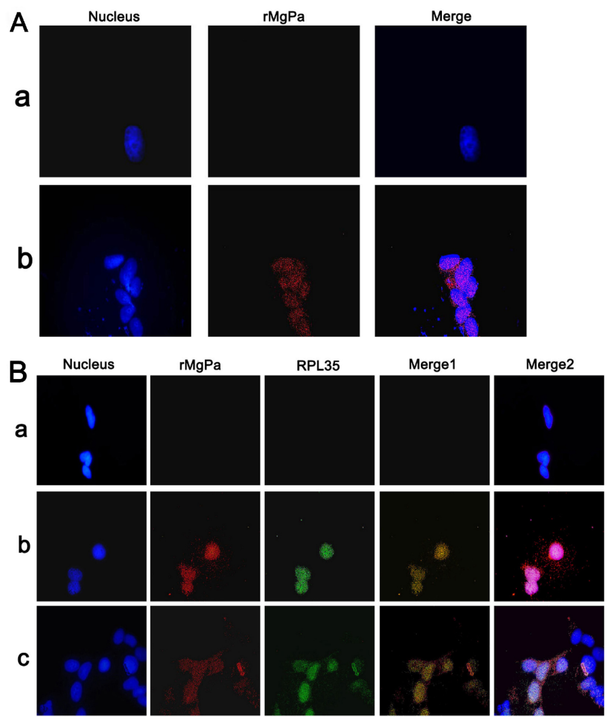 Pathogens 10 01449 g004