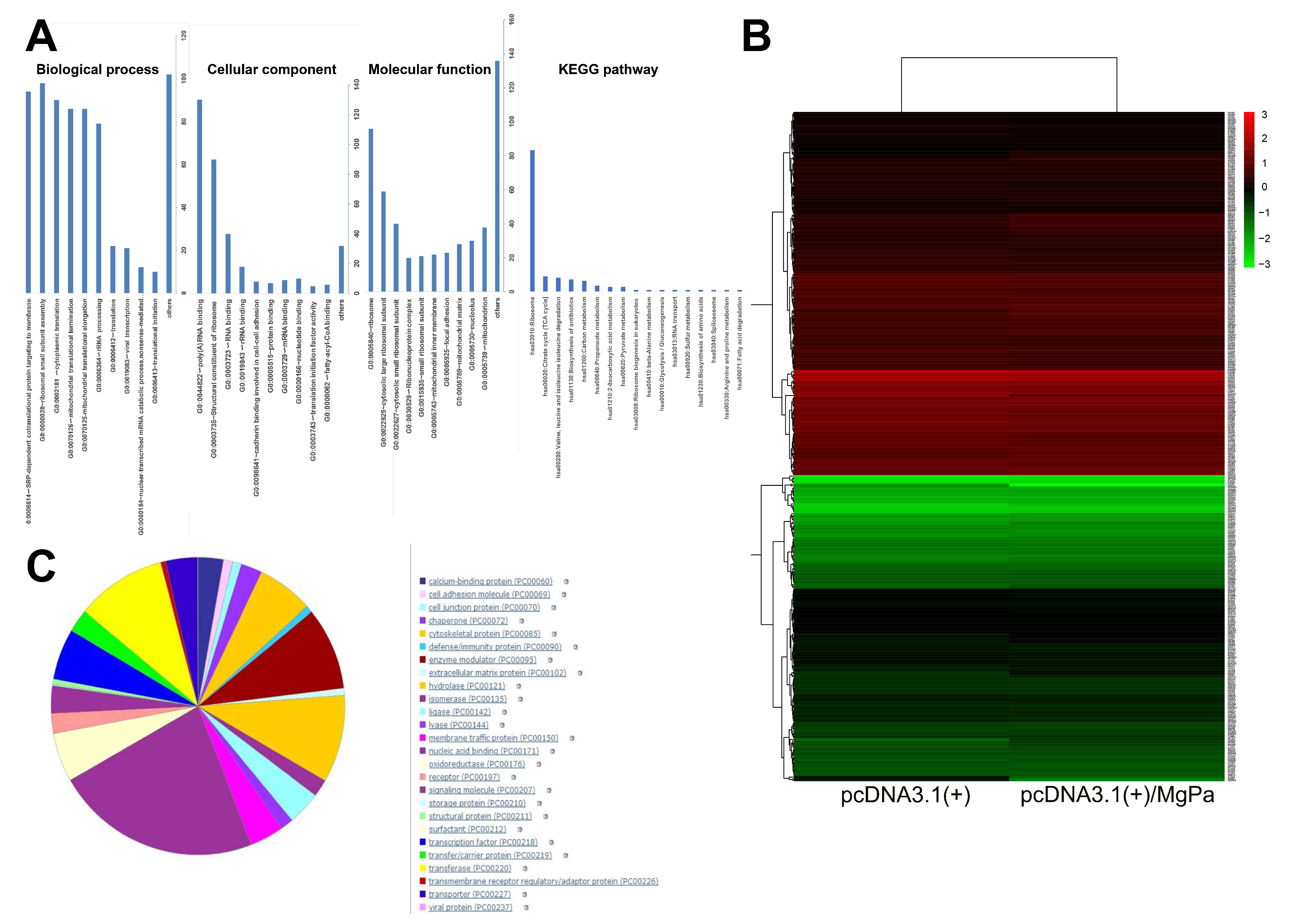 Pathogens 10 01449 g005