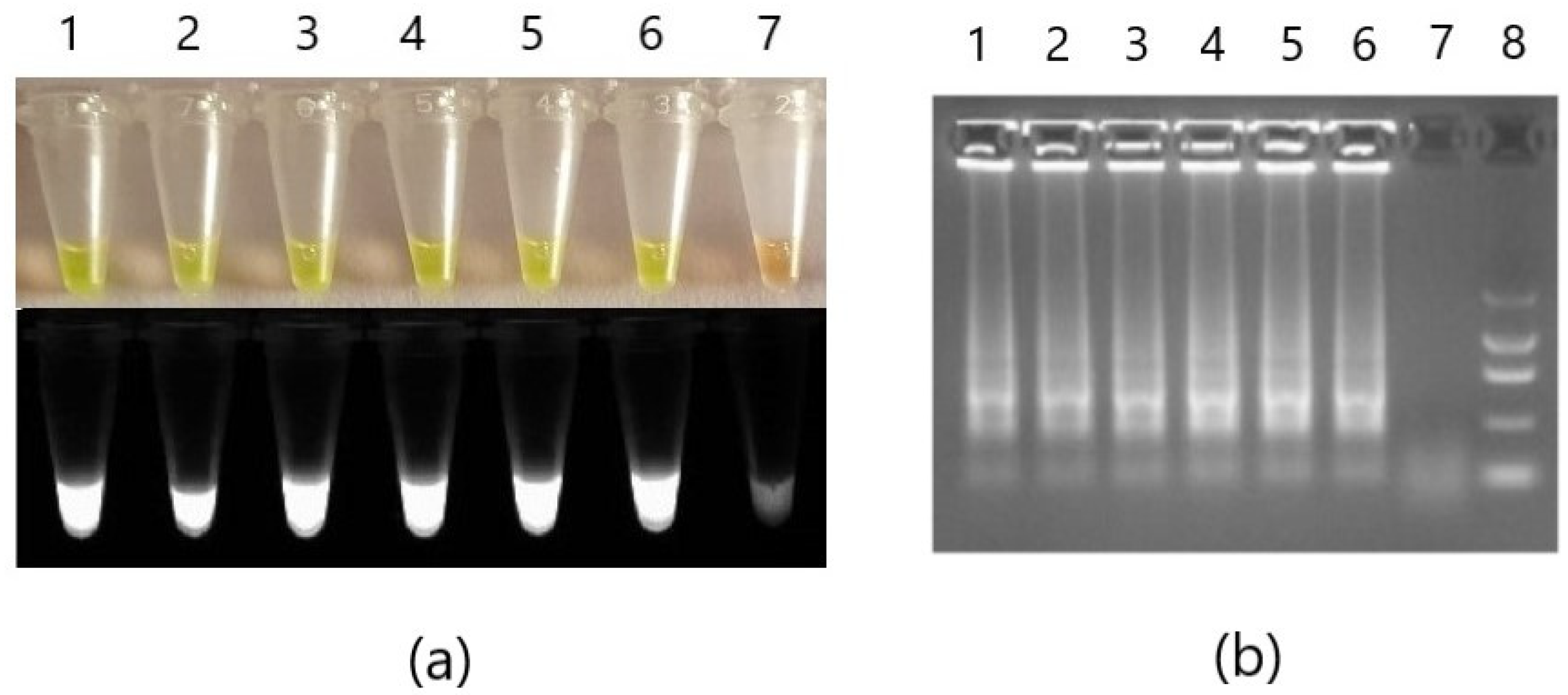Pathogens 10 01453 g004