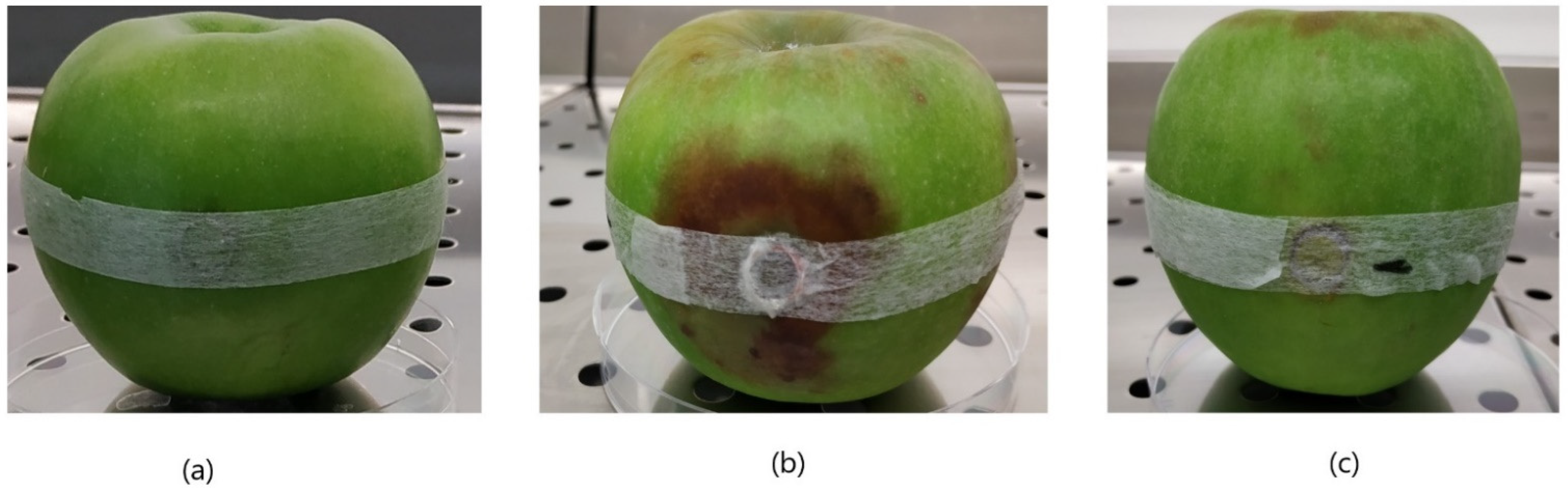 Pathogens 10 01453 g006