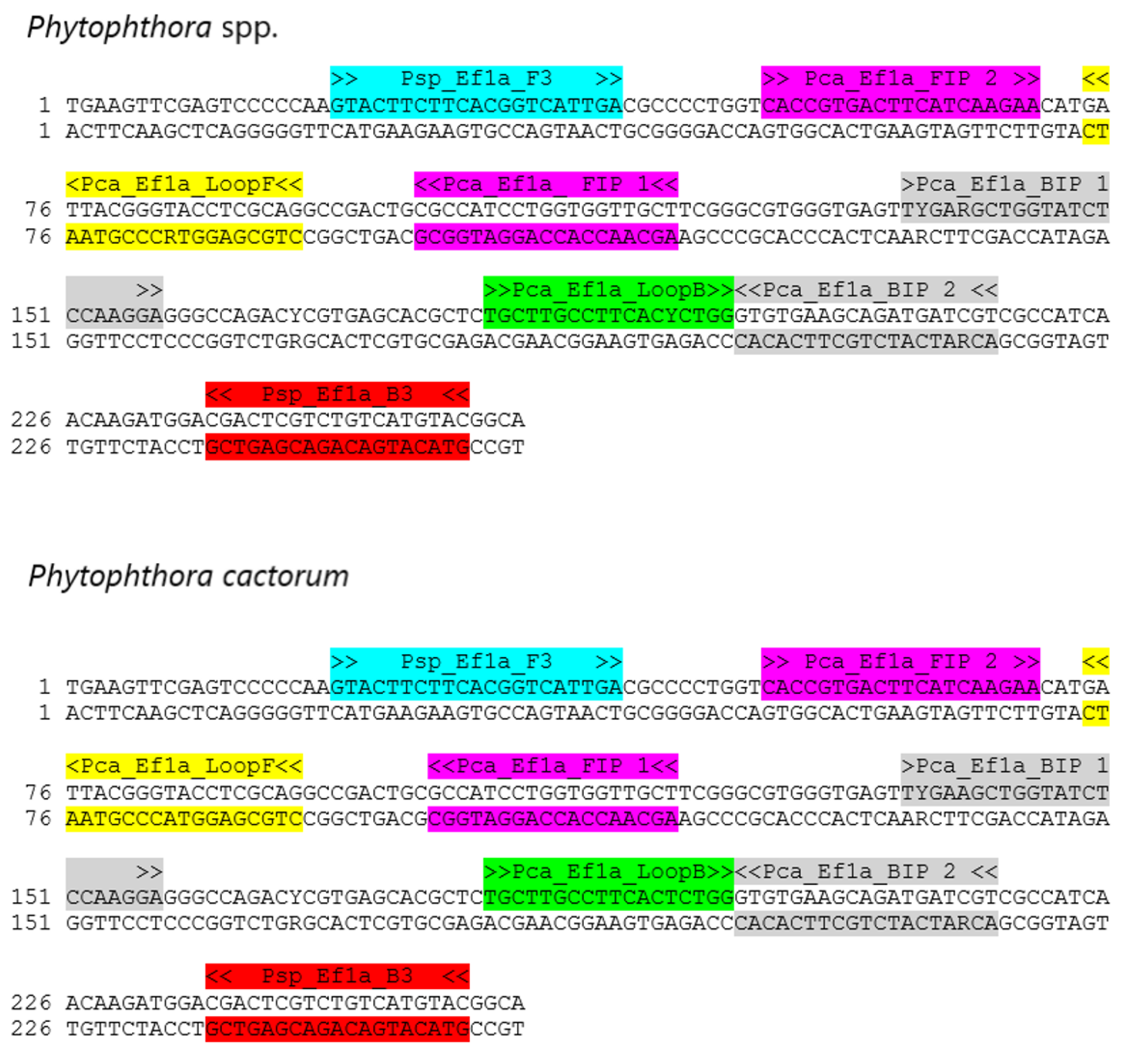 Pathogens 10 01453 g007