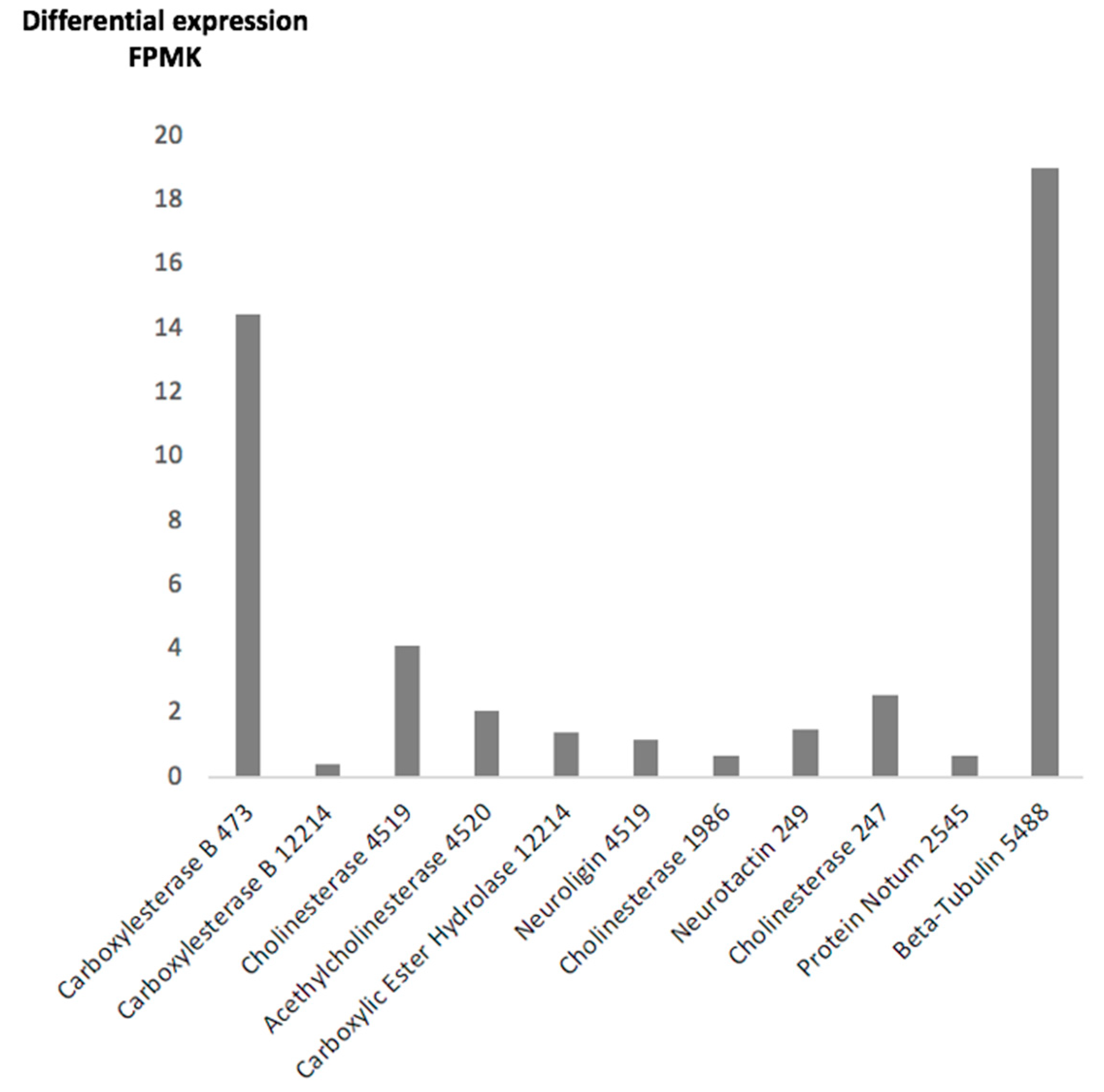 Pathogens 10 01454 g002