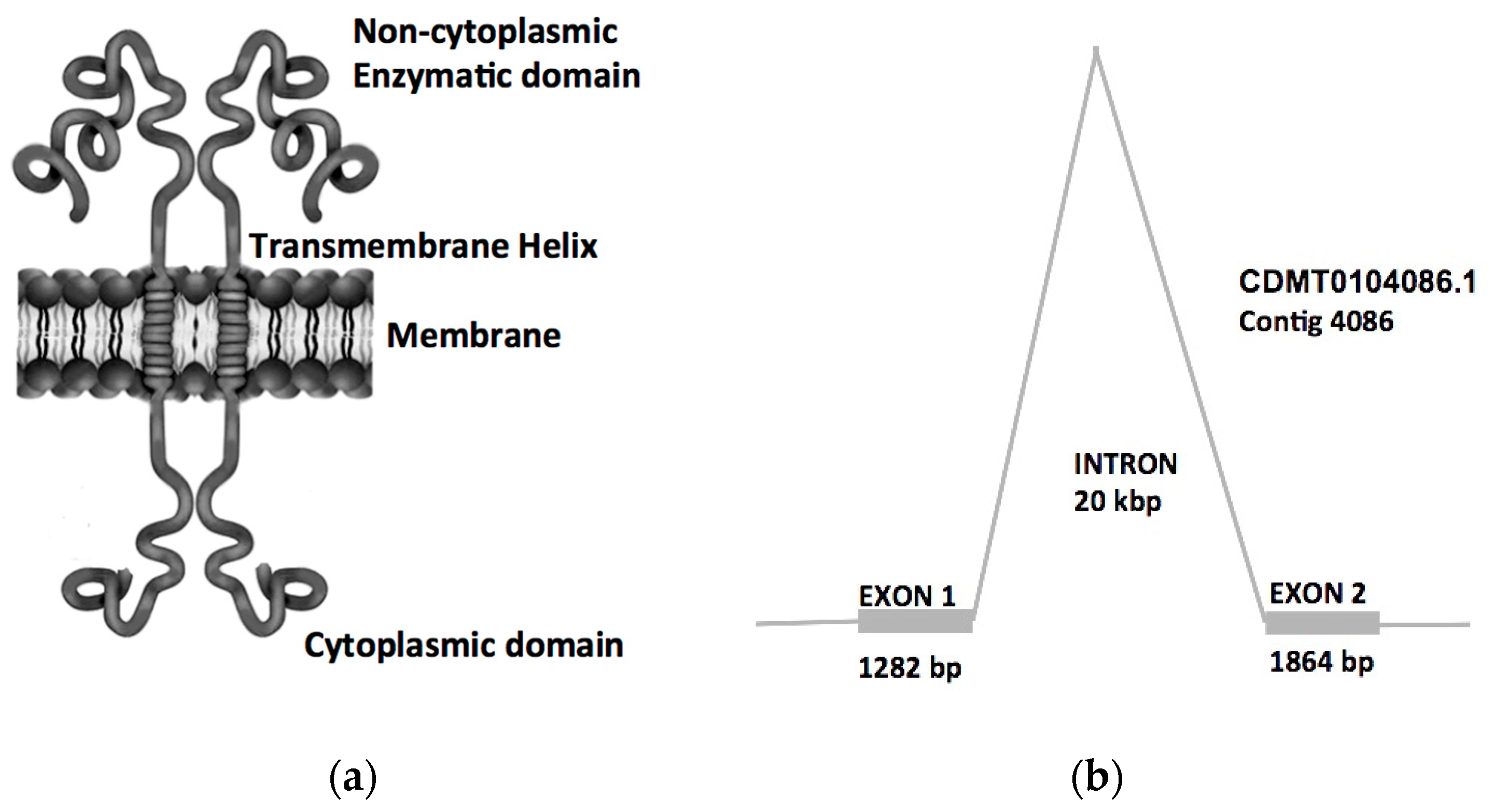 Pathogens 10 01454 g003