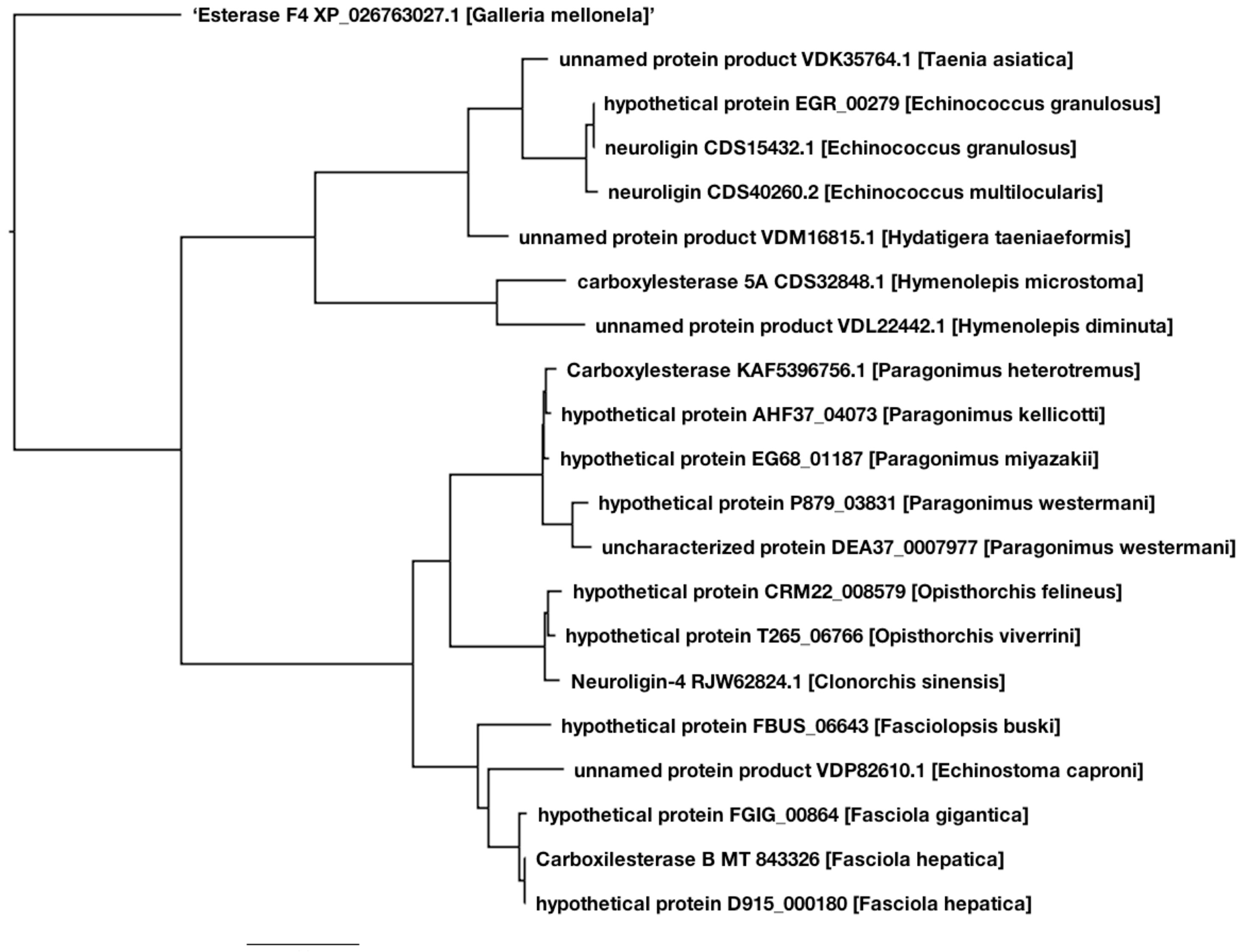 Pathogens 10 01454 g004