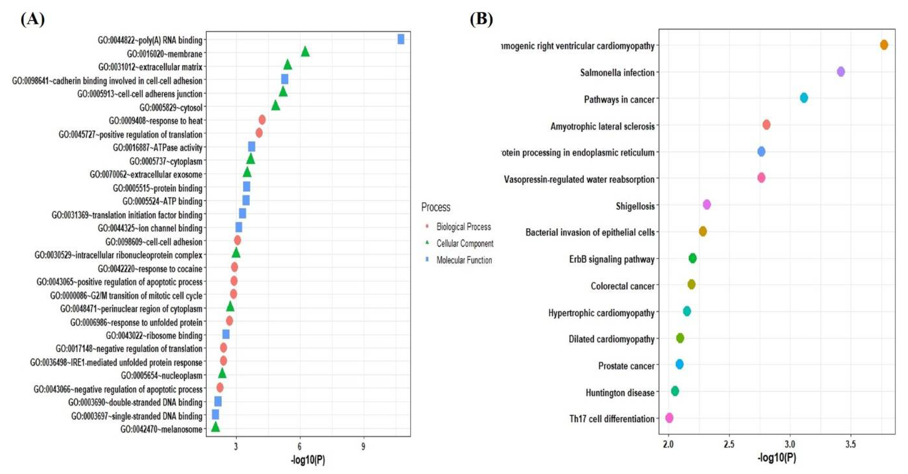 Pathogens 10 01459 g004