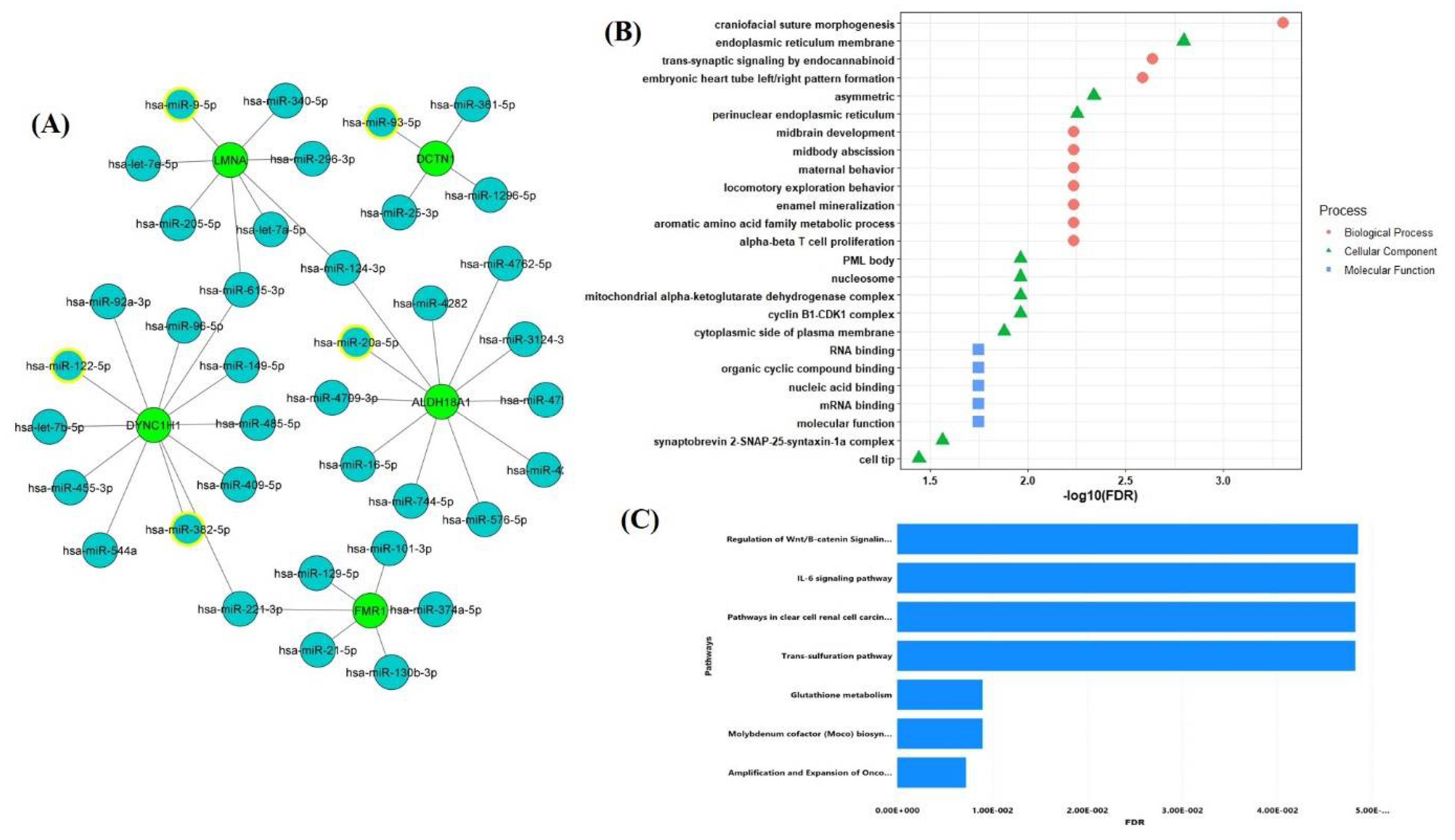 Pathogens 10 01459 g006