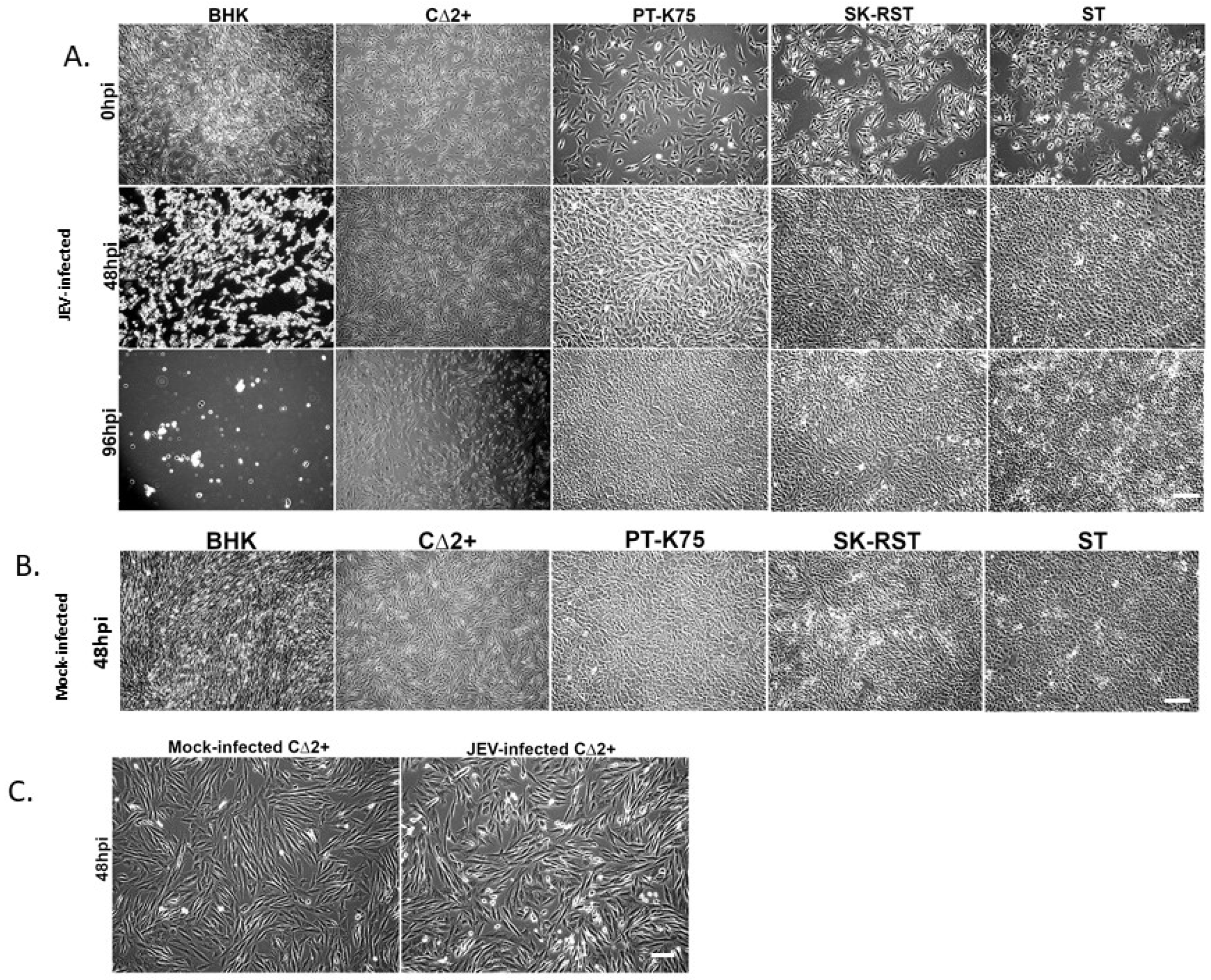 Pathogens 10 01468 g003 550