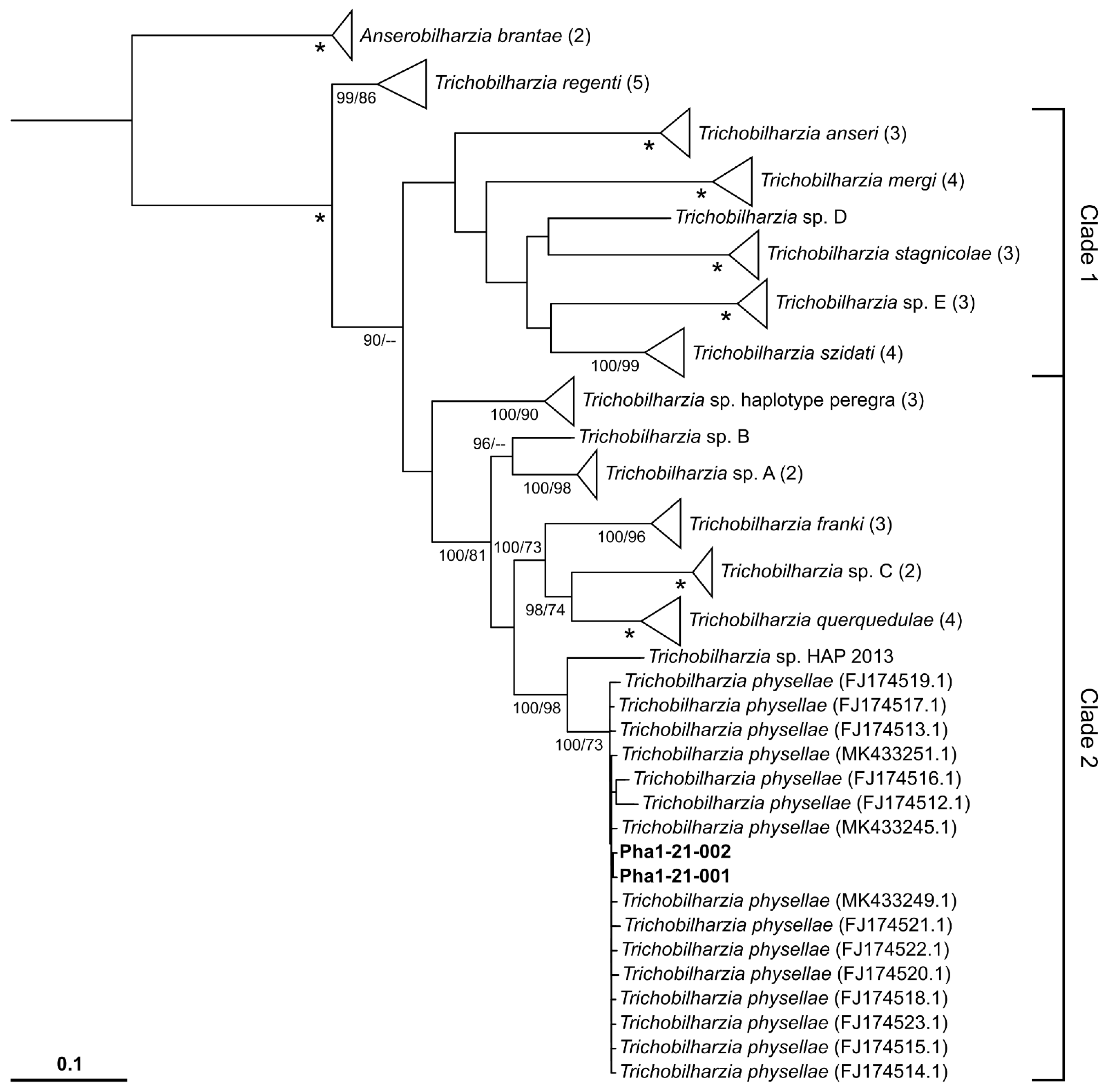 Pathogens 10 01473 g002
