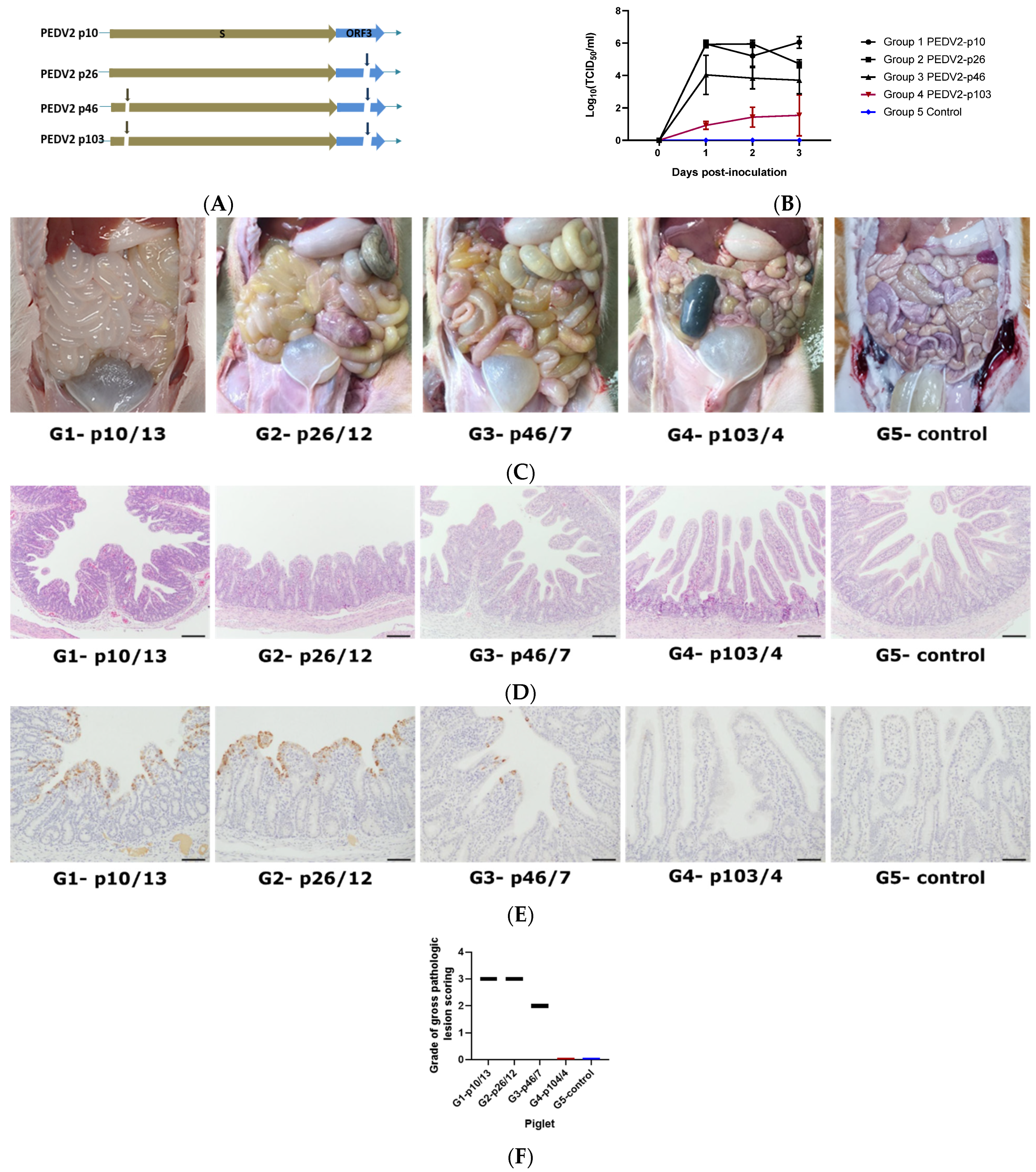 Pathogens 10 01479 g003 550
