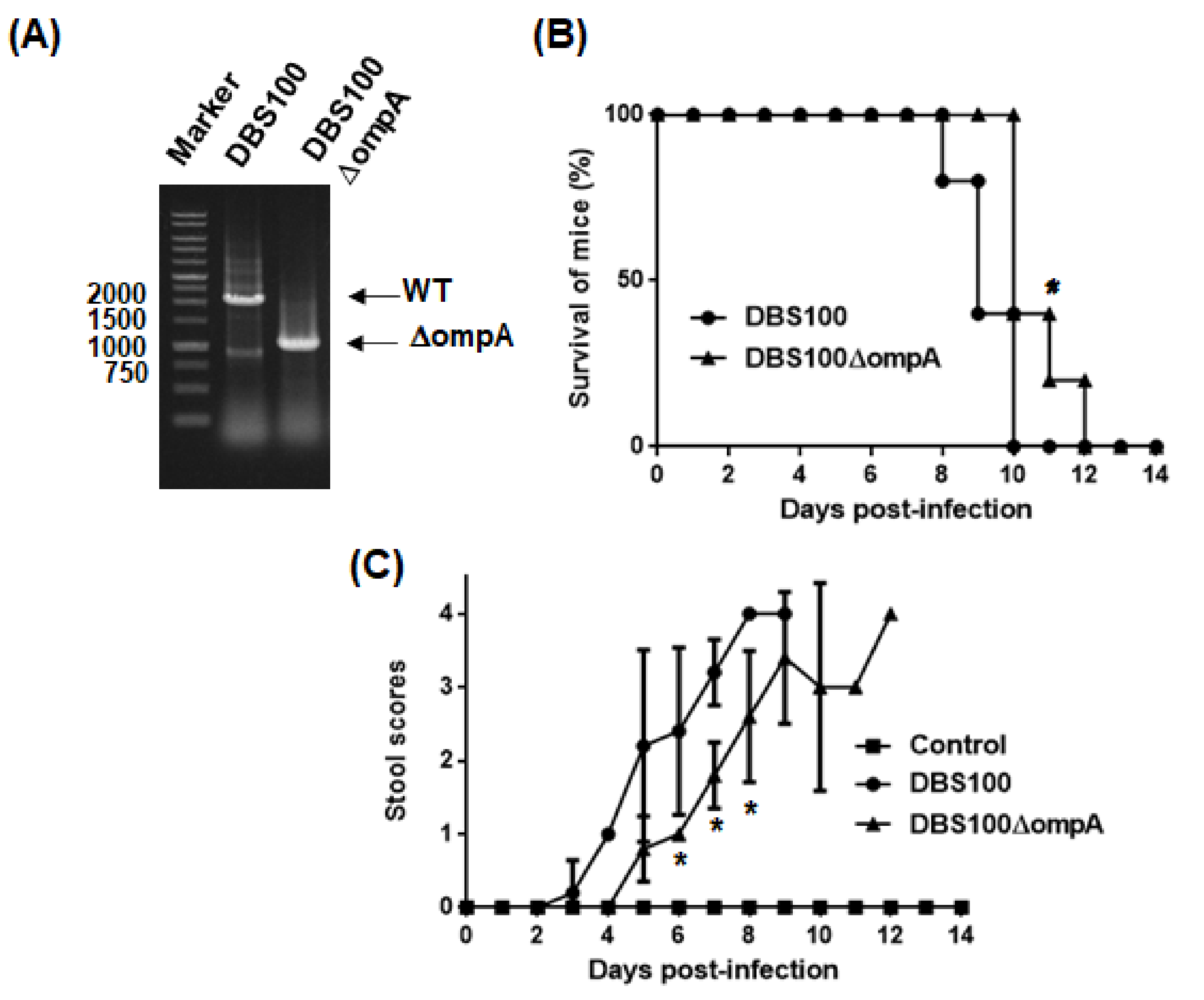 Pathogens 10 01496 g007
