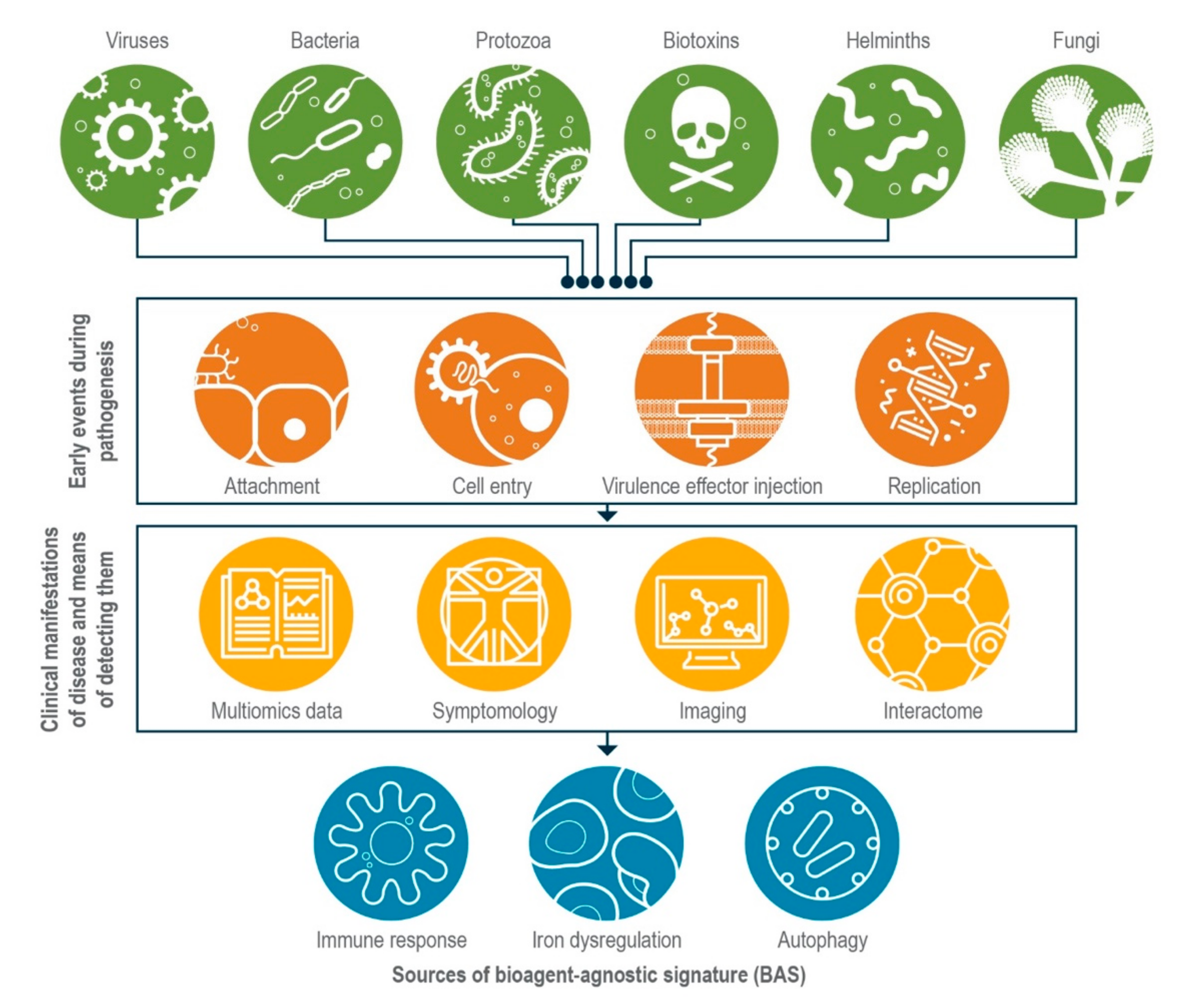 Pathogens 10 01497 g001