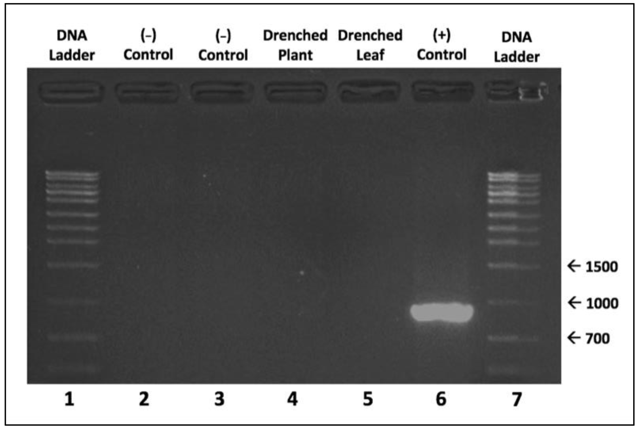 Pathogens 10 01500 g002