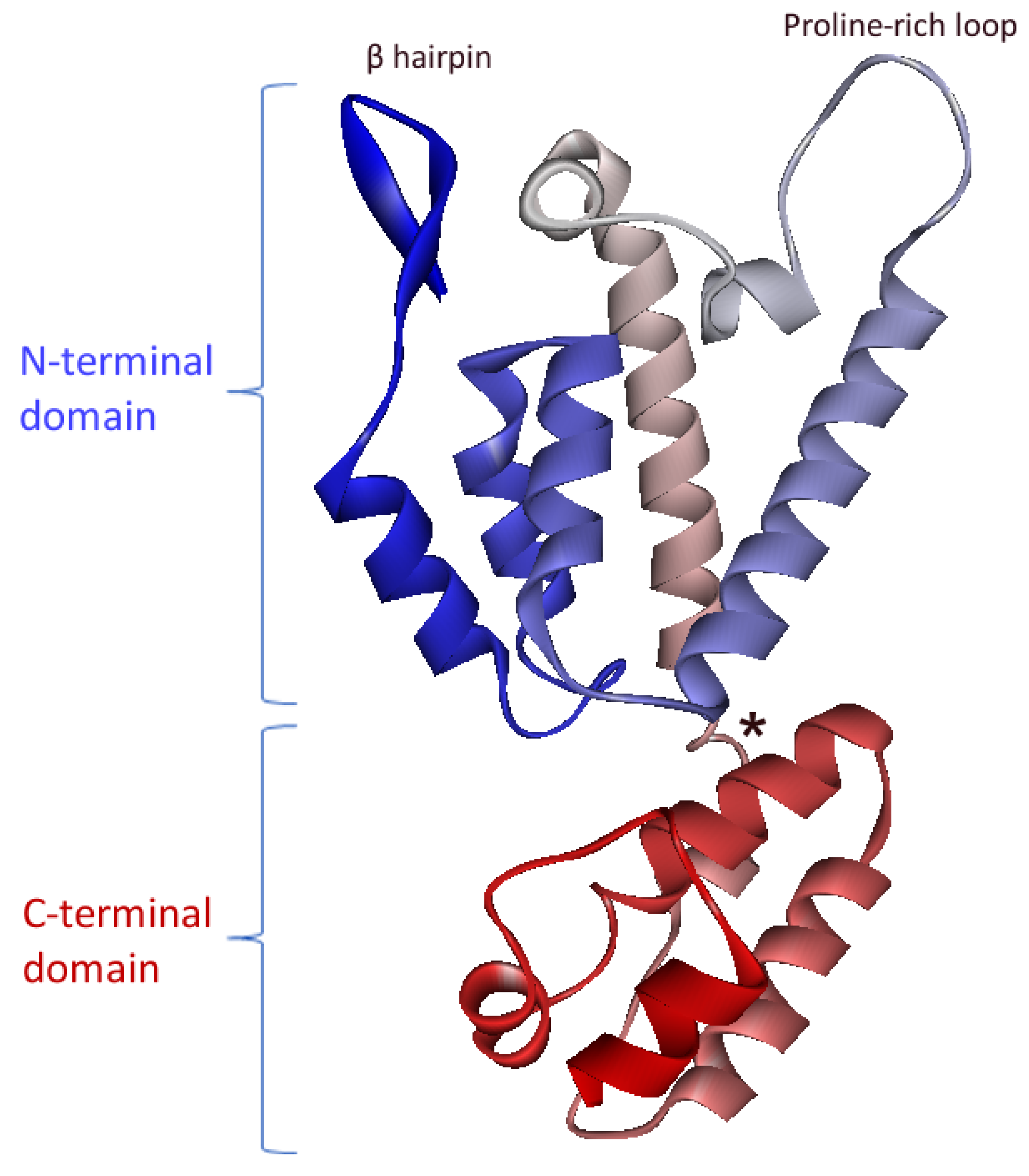 Pathogens 10 01502 g003 Pathogens 10 01502 g003