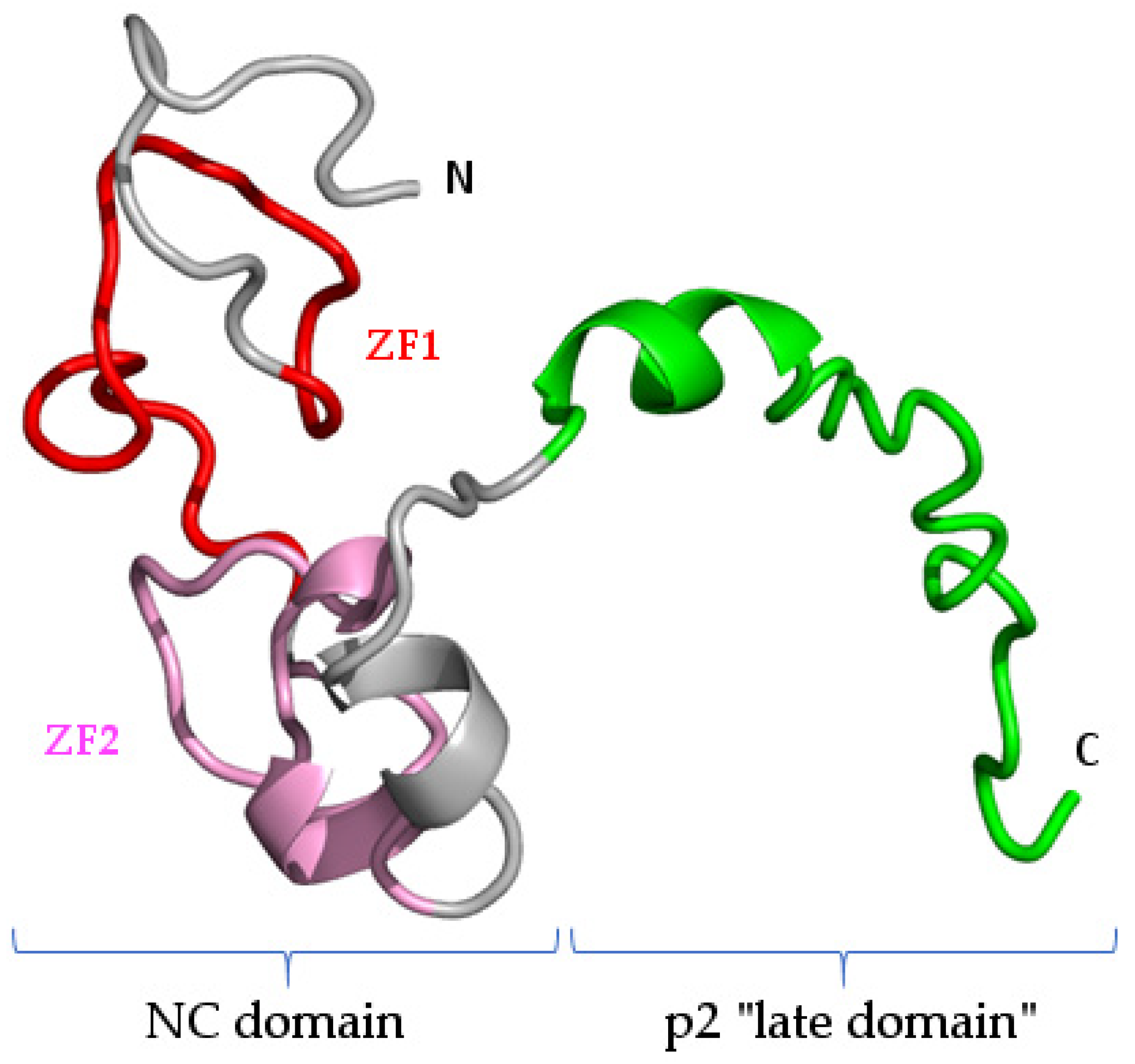 Pathogens 10 01502 g007 Pathogens 10 01502 g007