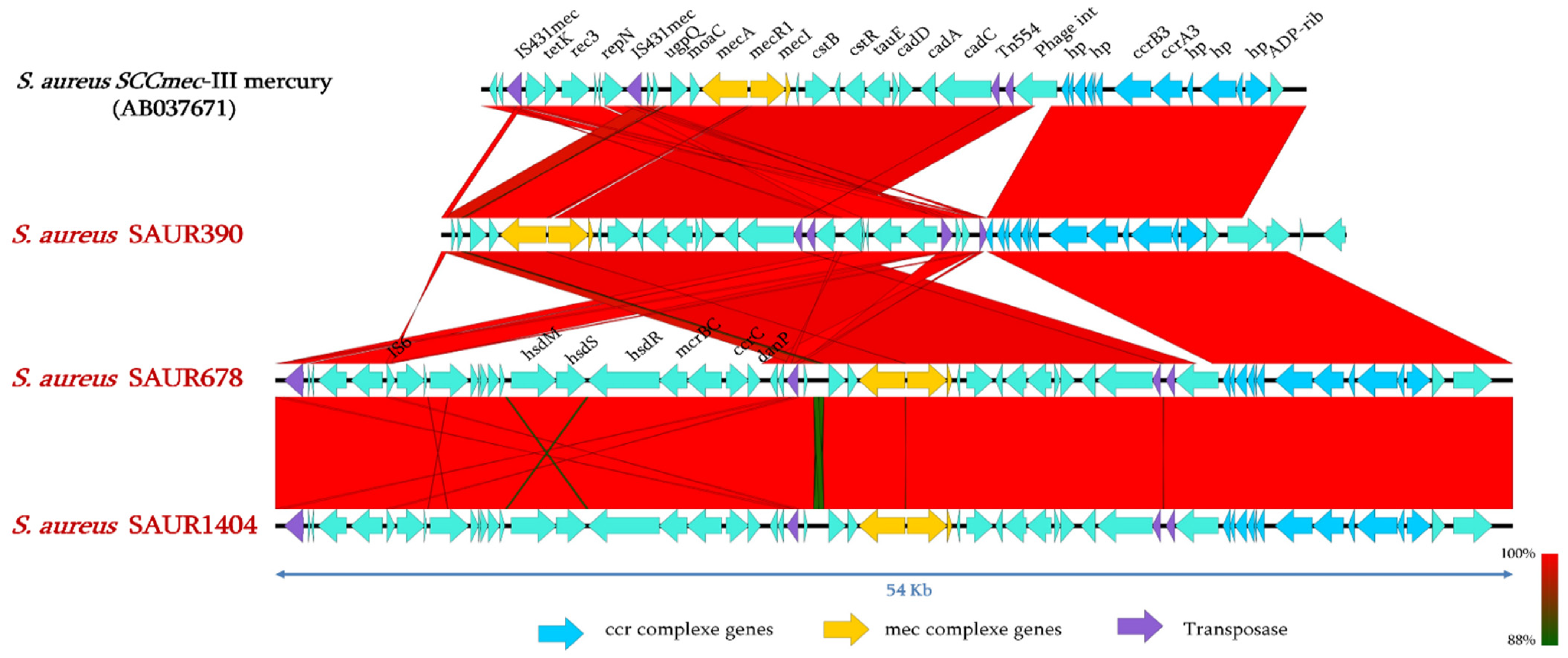 Pathogens 10 01503 g002 Pathogens 10 01503 g002